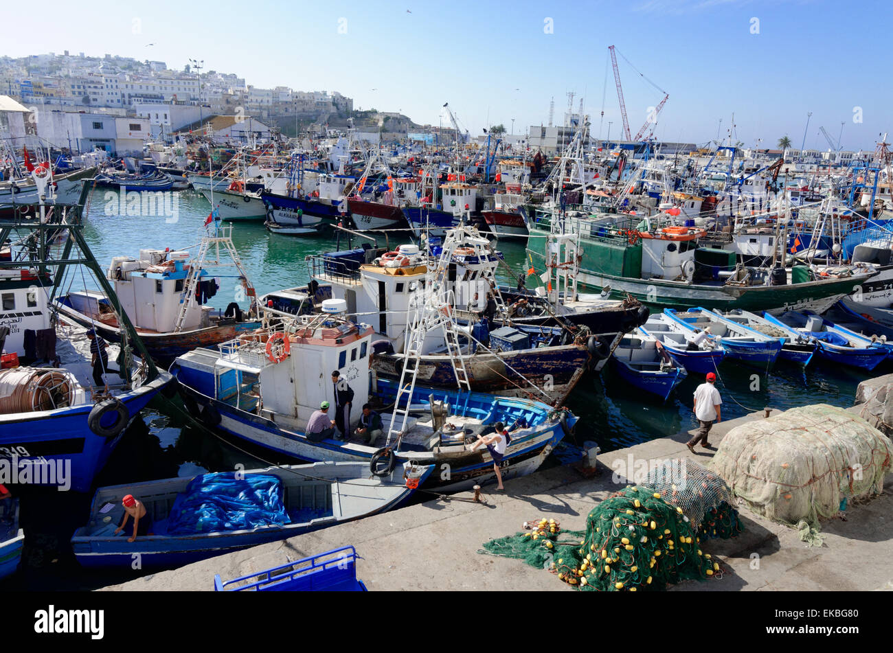 Fishing harbour, Tangier, Morocco, North Africa, Africa Stock Photo