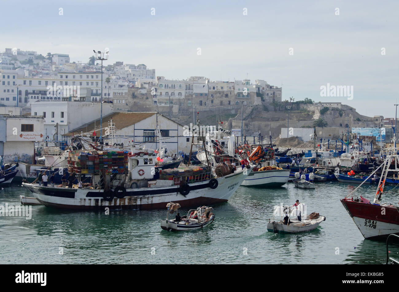 Fishing boats leaving Tangier fishing harbour, Tangier, Morocco, North