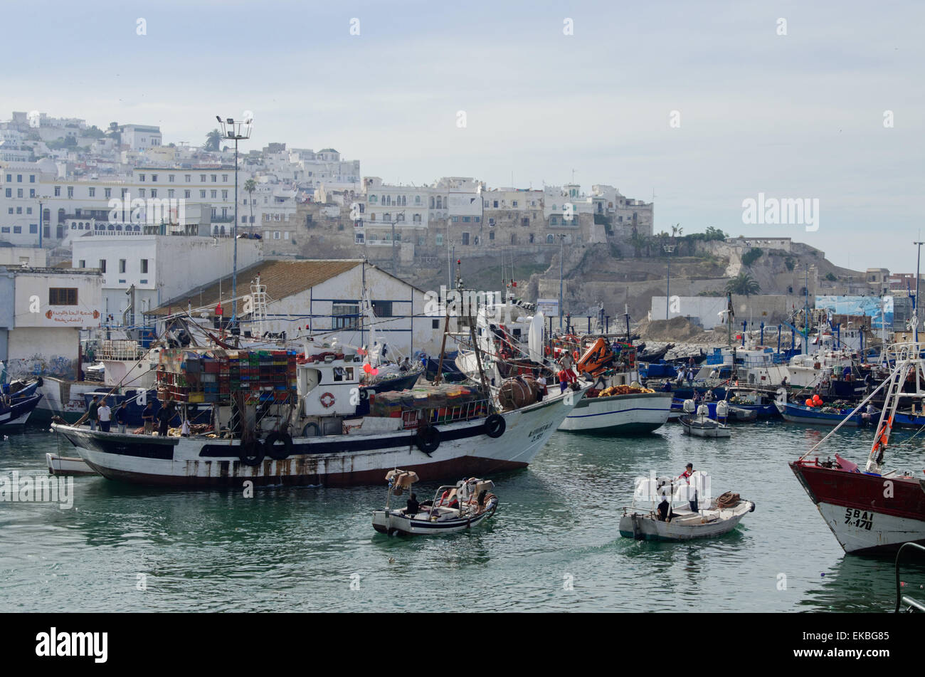 Fishing boats leaving Tangier fishing harbour, Tangier, Morocco, North Africa, Africa Stock Photo