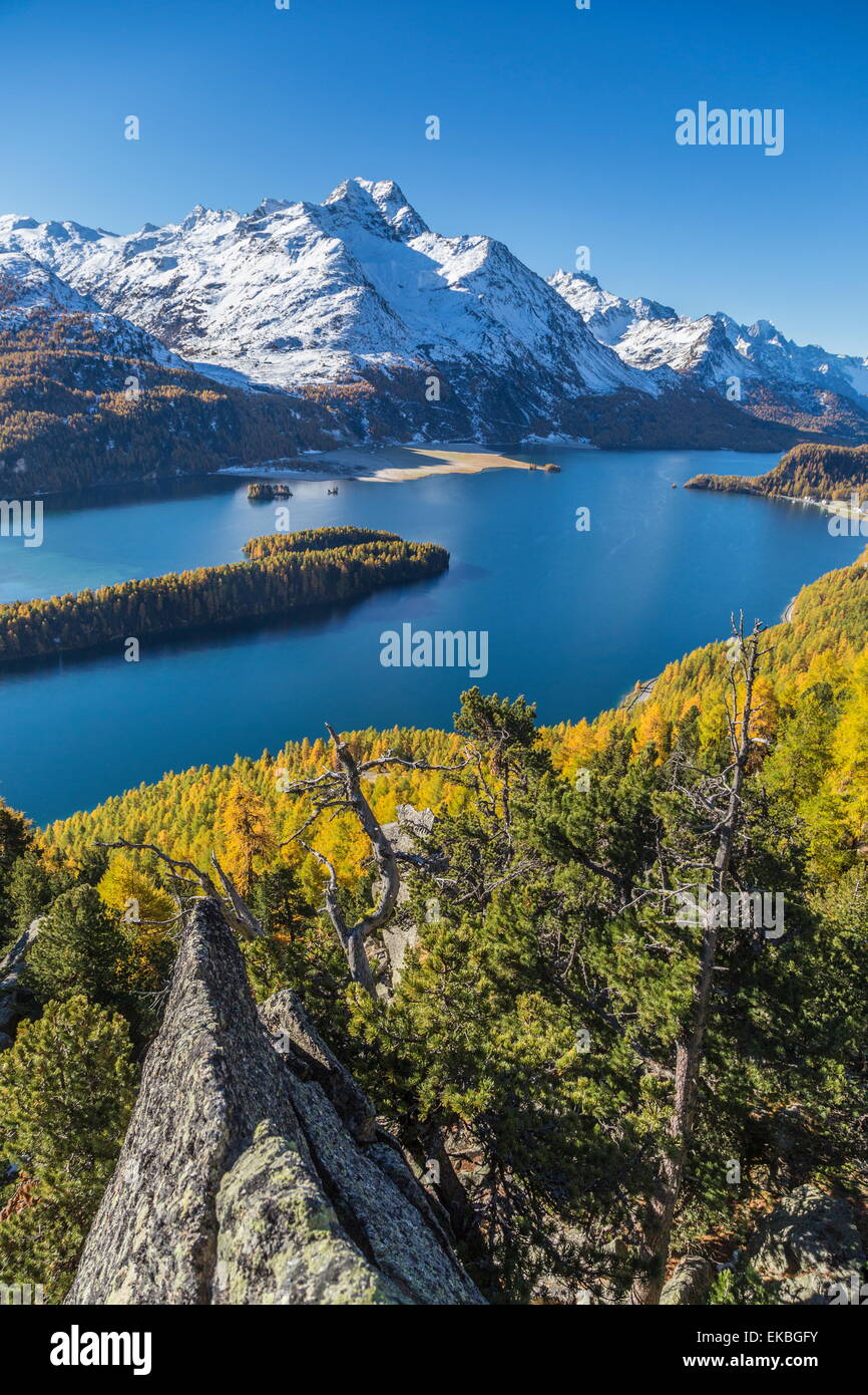 Lake Sils and Piz la Margna covered in snow from a rocky terrace above the Engadine woods, Swiss Alps, Switzerland Stock Photo