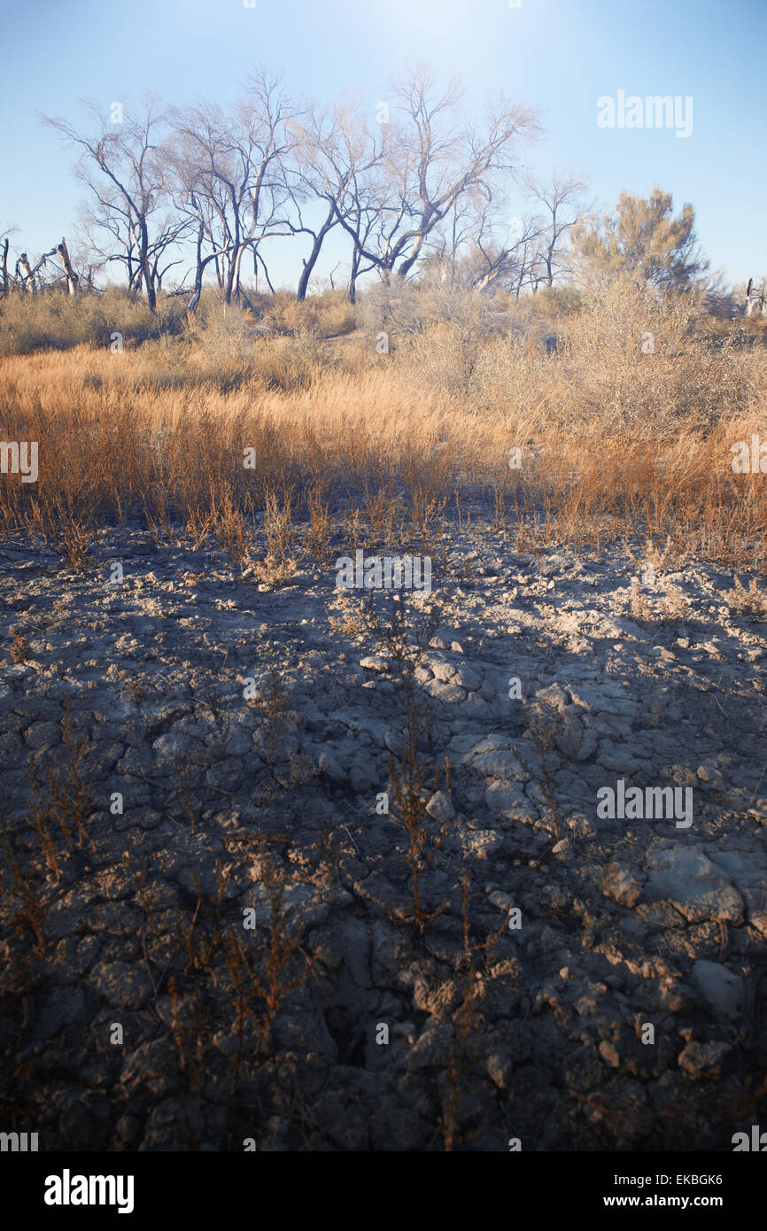 Arid summer landscape hi-res stock photography and images - Alamy