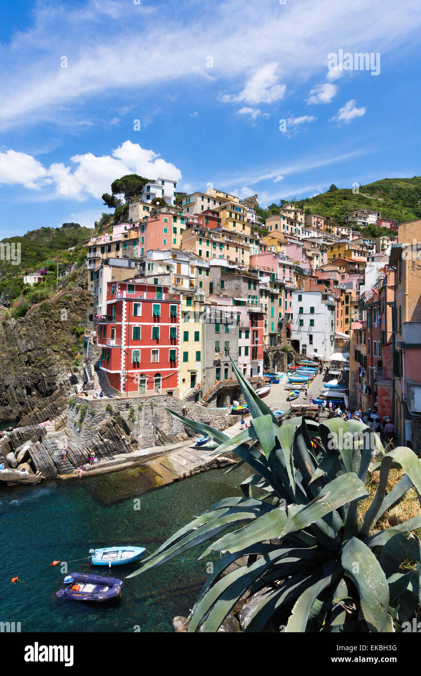 Clifftop village of Riomaggiore, Cinque Terre, UNESCO World Heritage Site, Liguria, Italy, Europe Stock Photo