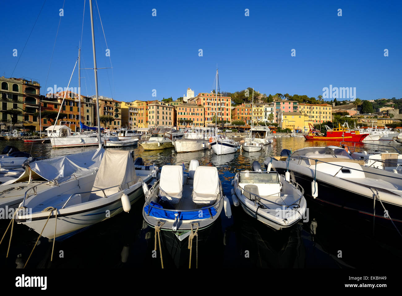 Santa Margherita Ligure harbour, Genova (Genoa), Liguria, Italy, Europe Stock Photo
