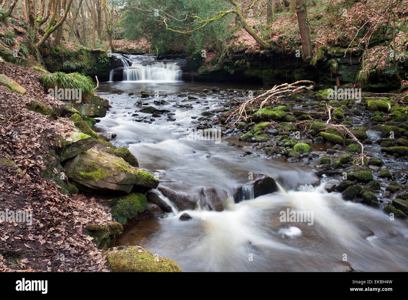 Waterfall on Harden Beck in Goitstock Wood, Cullingworth, Yorkshire