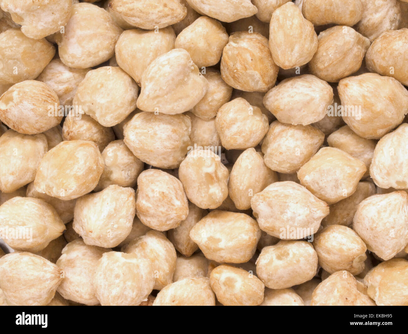 white candlenuts Stock Photo