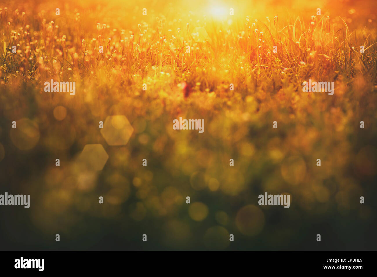 Spring season abstract hi-res stock photography and images - Alamy