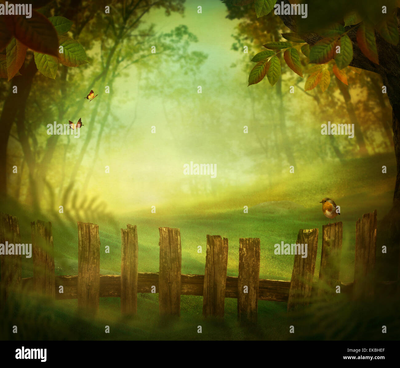 Spring design - Forest with wood fence Stock Photo - Alamy