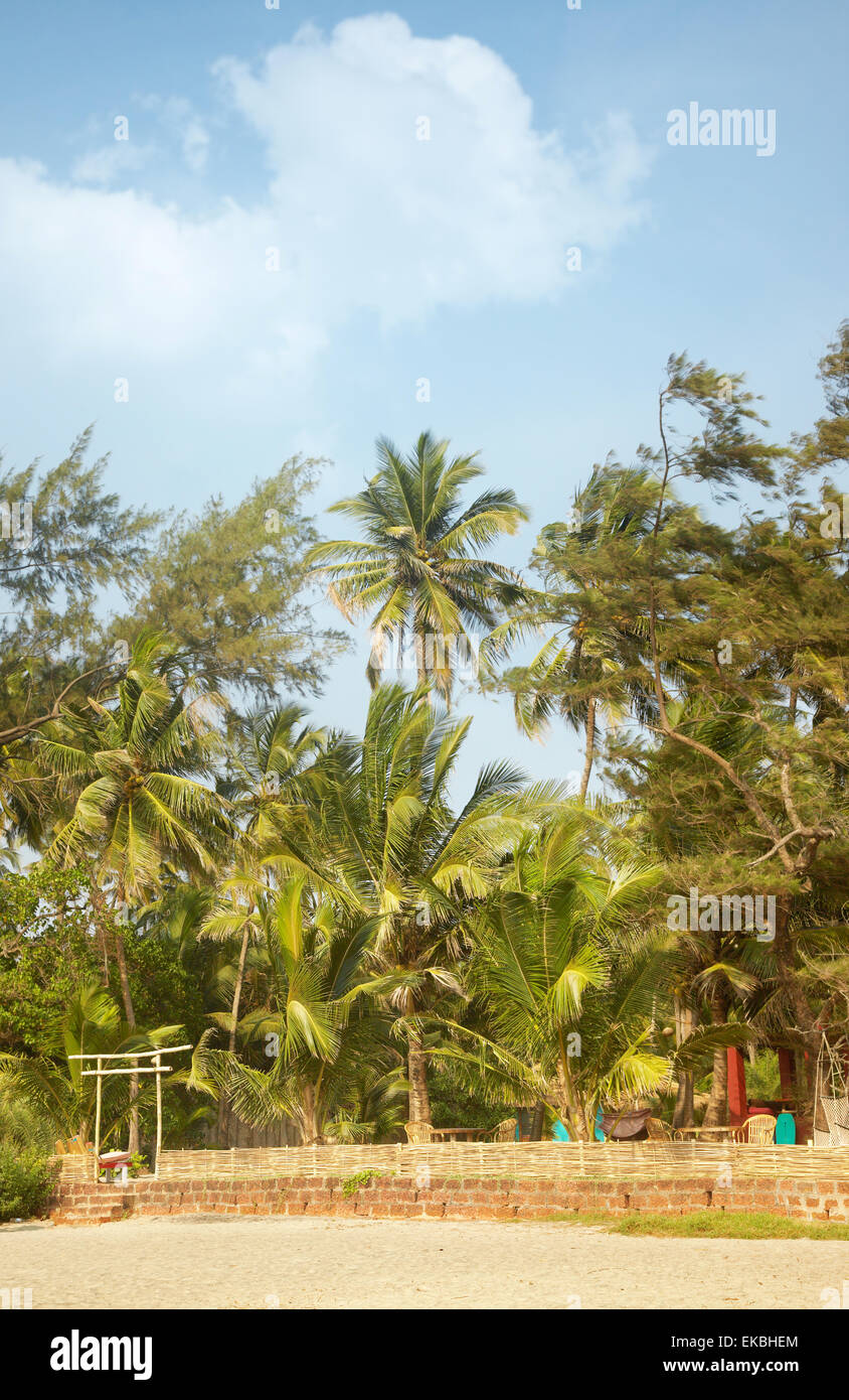 Palm resort Stock Photo