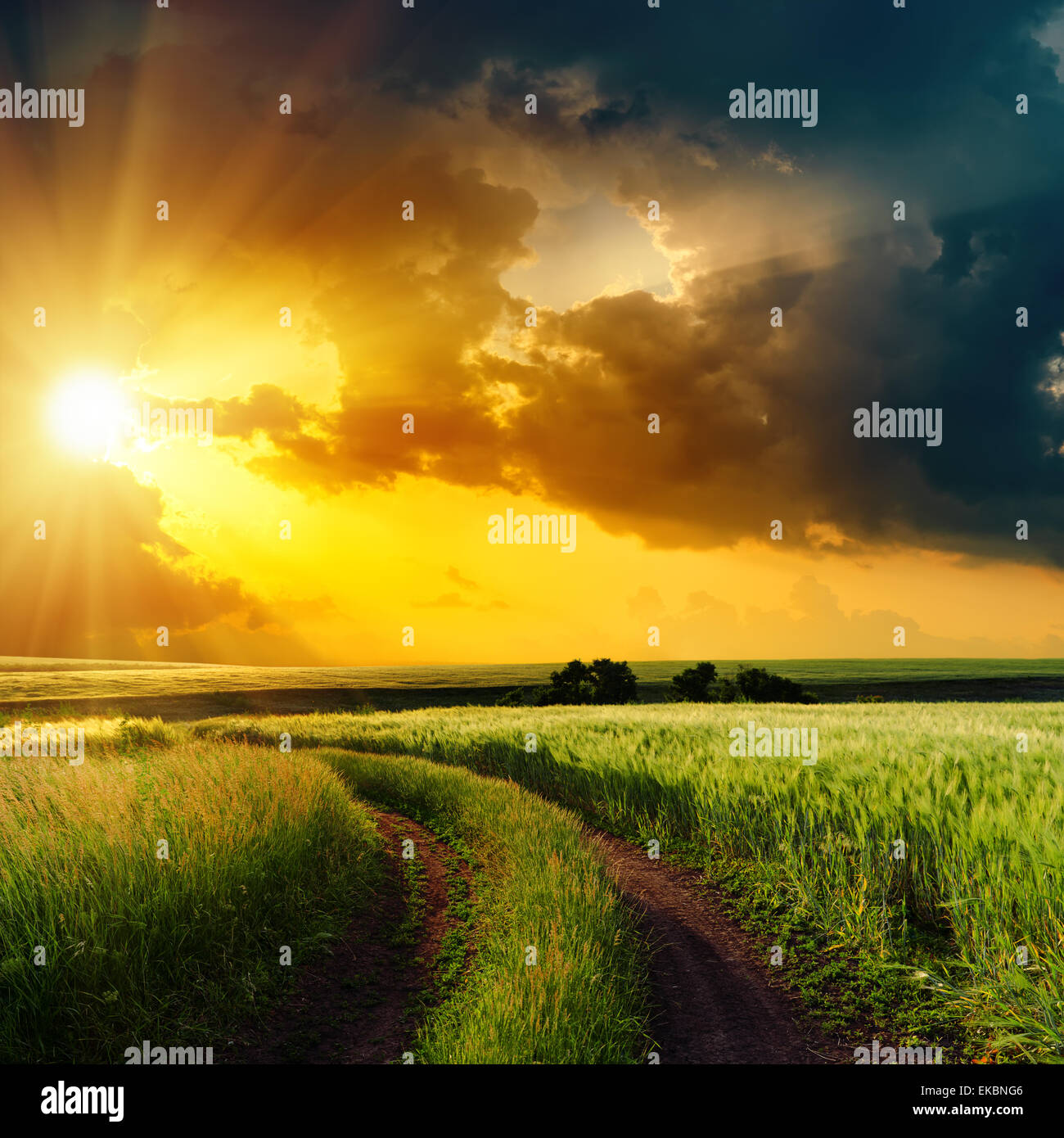 dramatic sunset over rural road in green field Stock Photo - Alamy