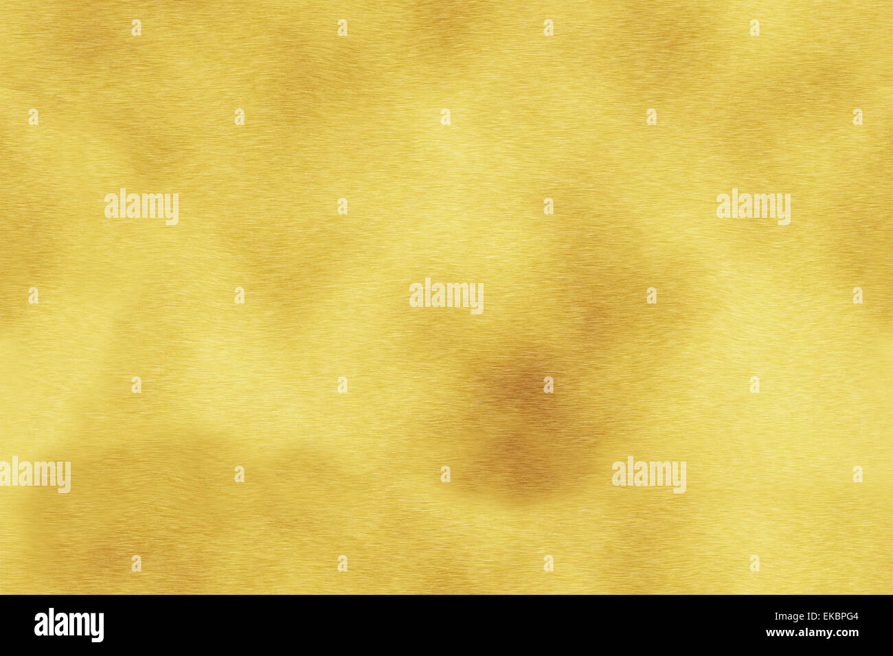 Woody Texture Stock Photos & Woody Texture Stock Images - Alamy