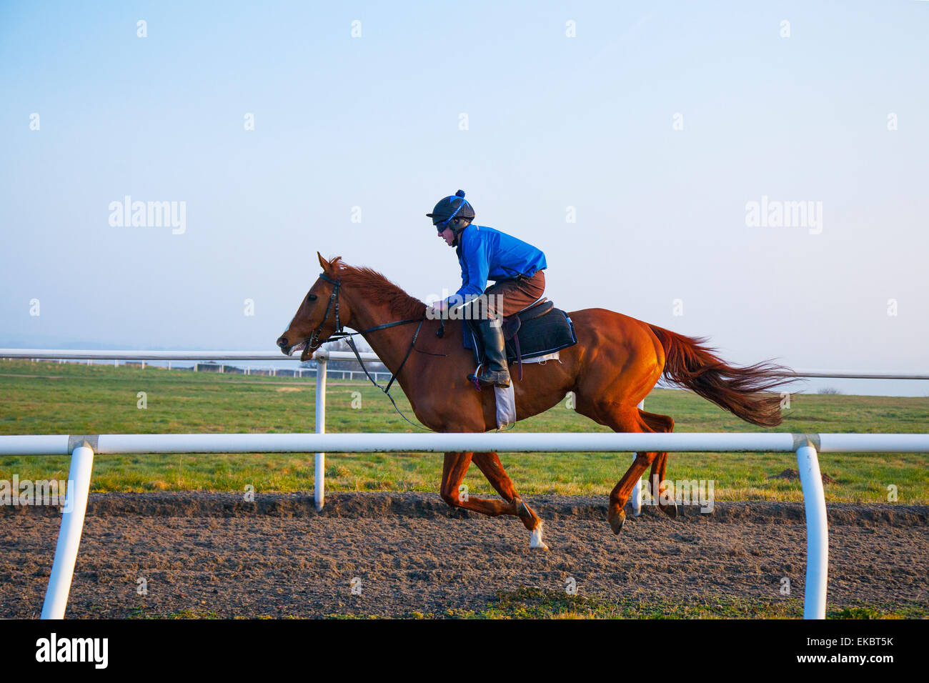 Horse rider on yorkshire moors hires stock photography and images Alamy