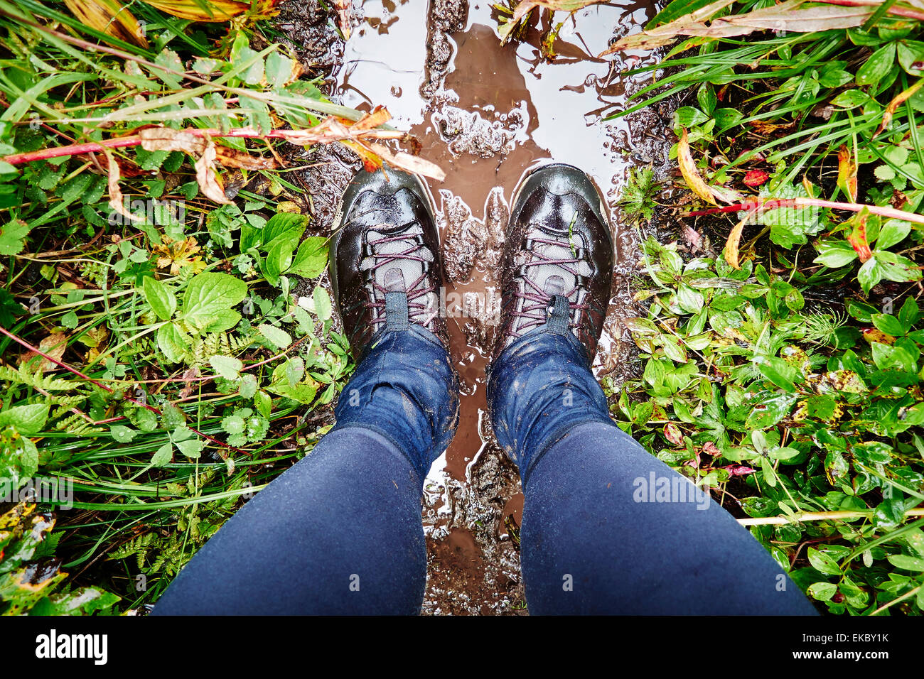 Hiking boots on muddy trail, Palmer, Alaska, USA Stock Photo