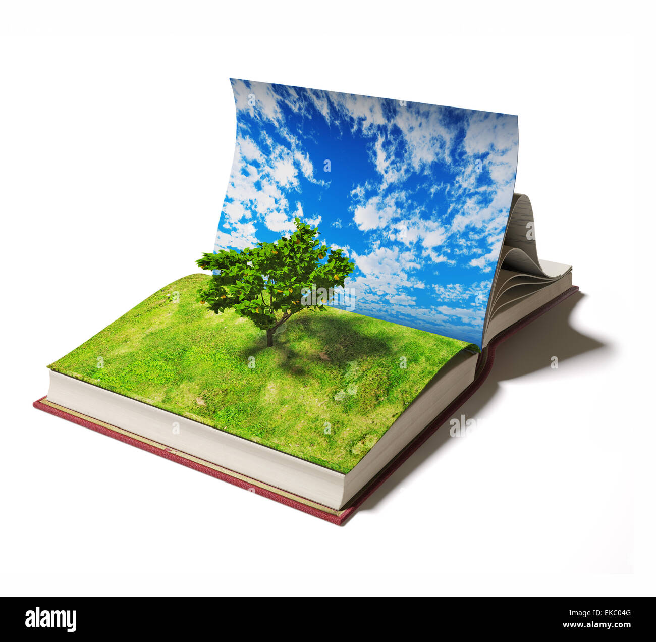 book with tree Stock Photo Alamy