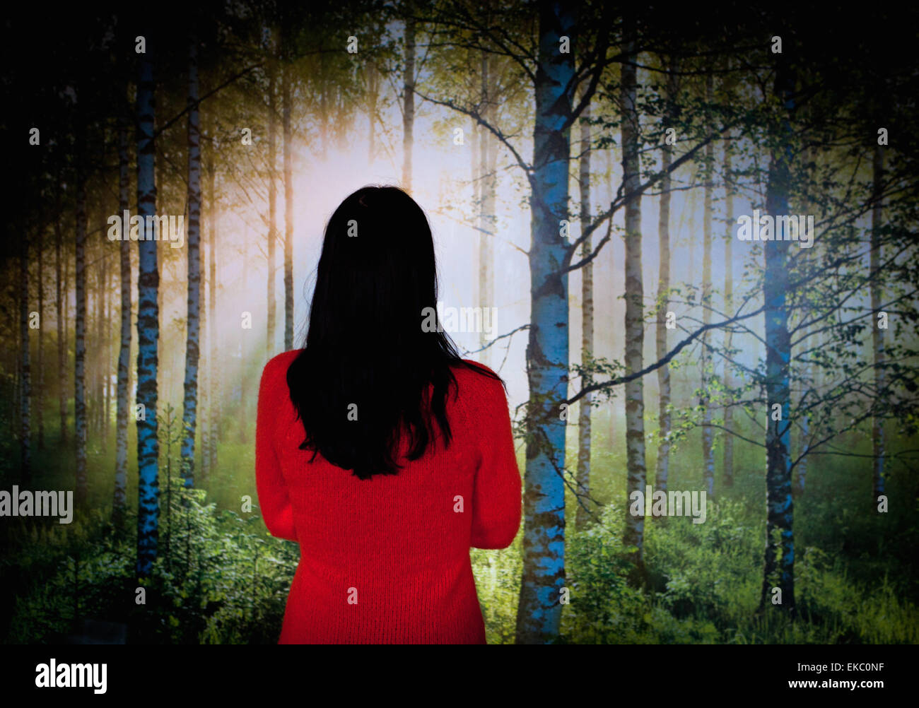 Woman rear view long dark hair hi-res stock photography and images - Alamy