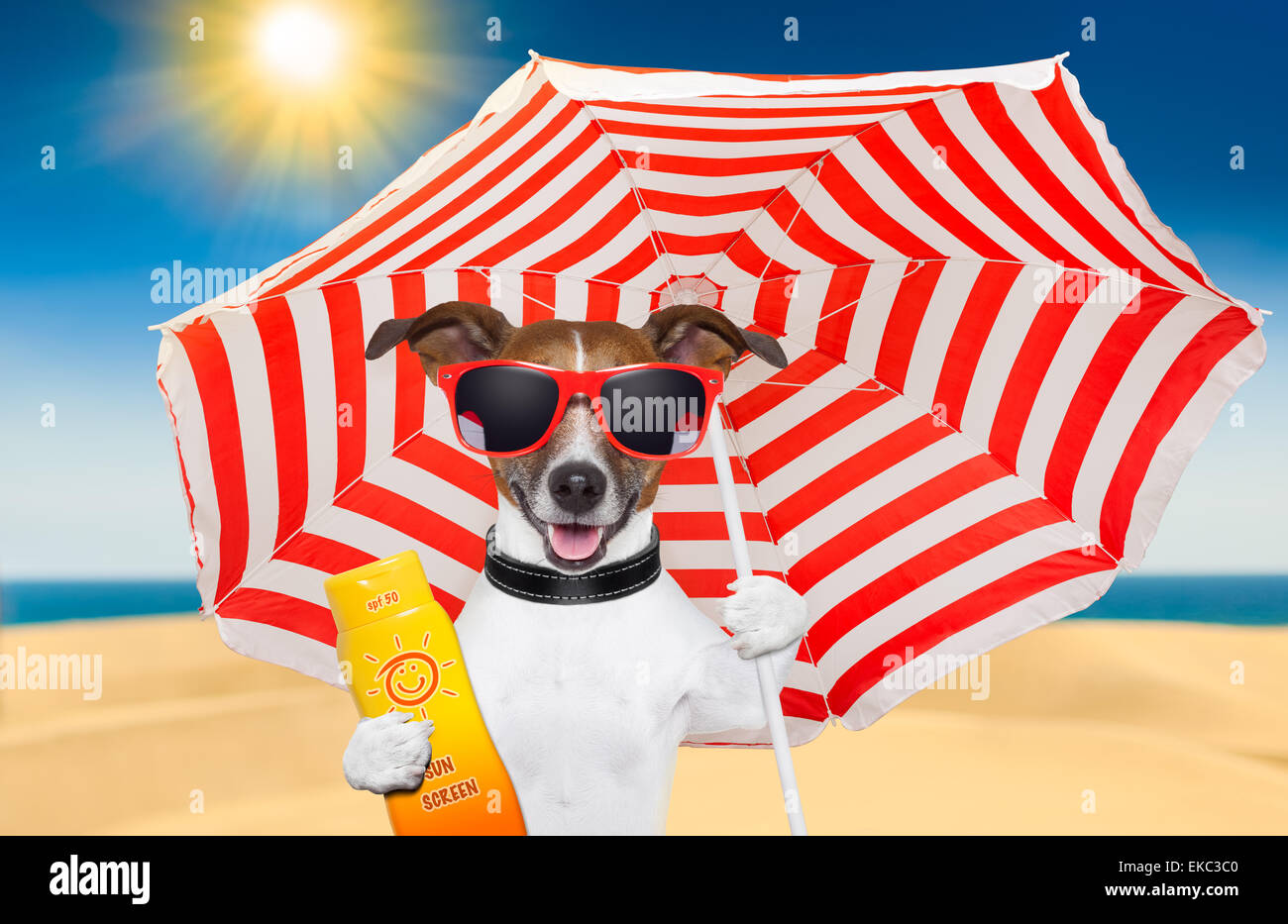 Dog top sun umbrella