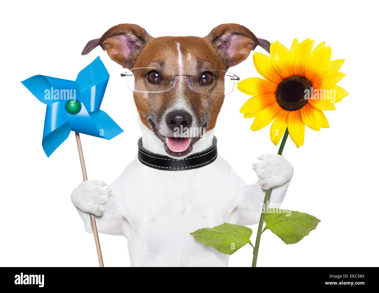 eco energy dog Stock Photo - Alamy