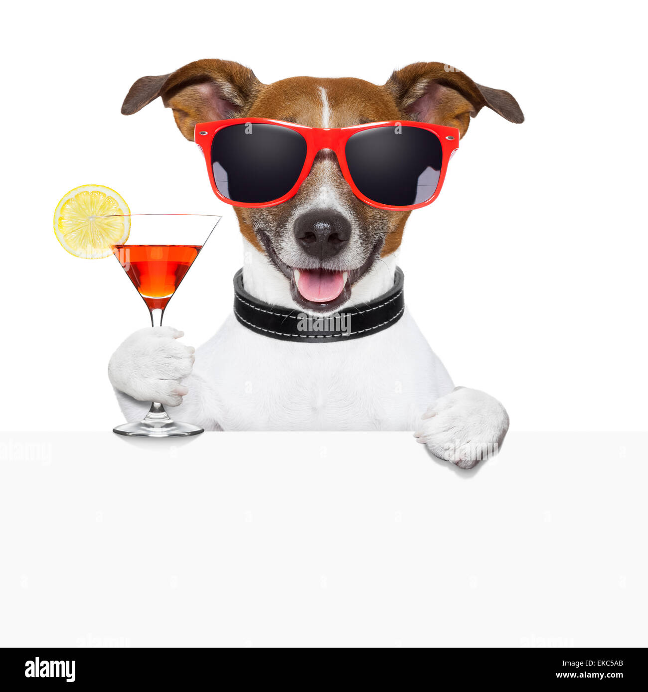funny cocktail dog banner Stock Photo