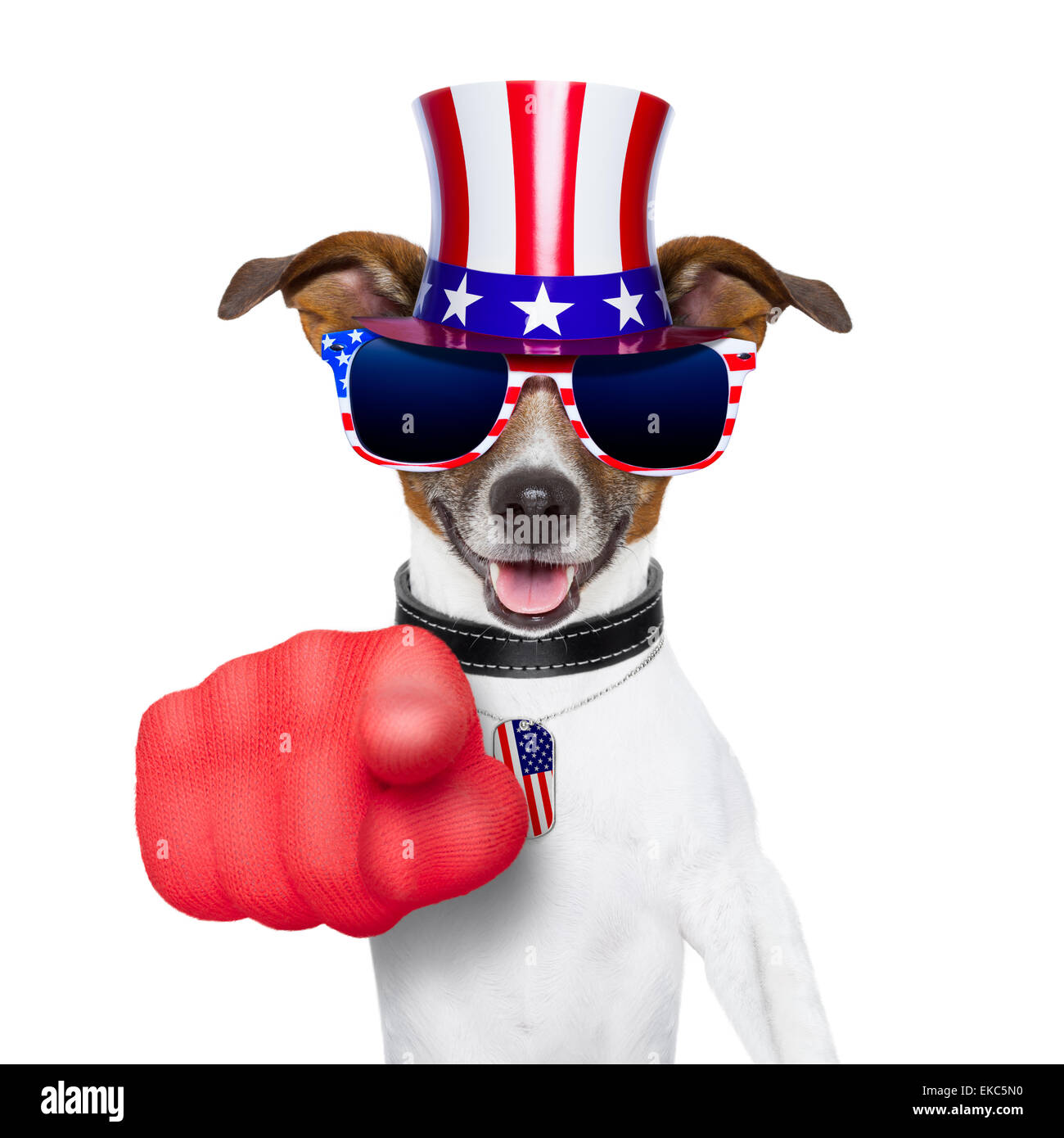 usa american dog Stock Photo - Alamy
