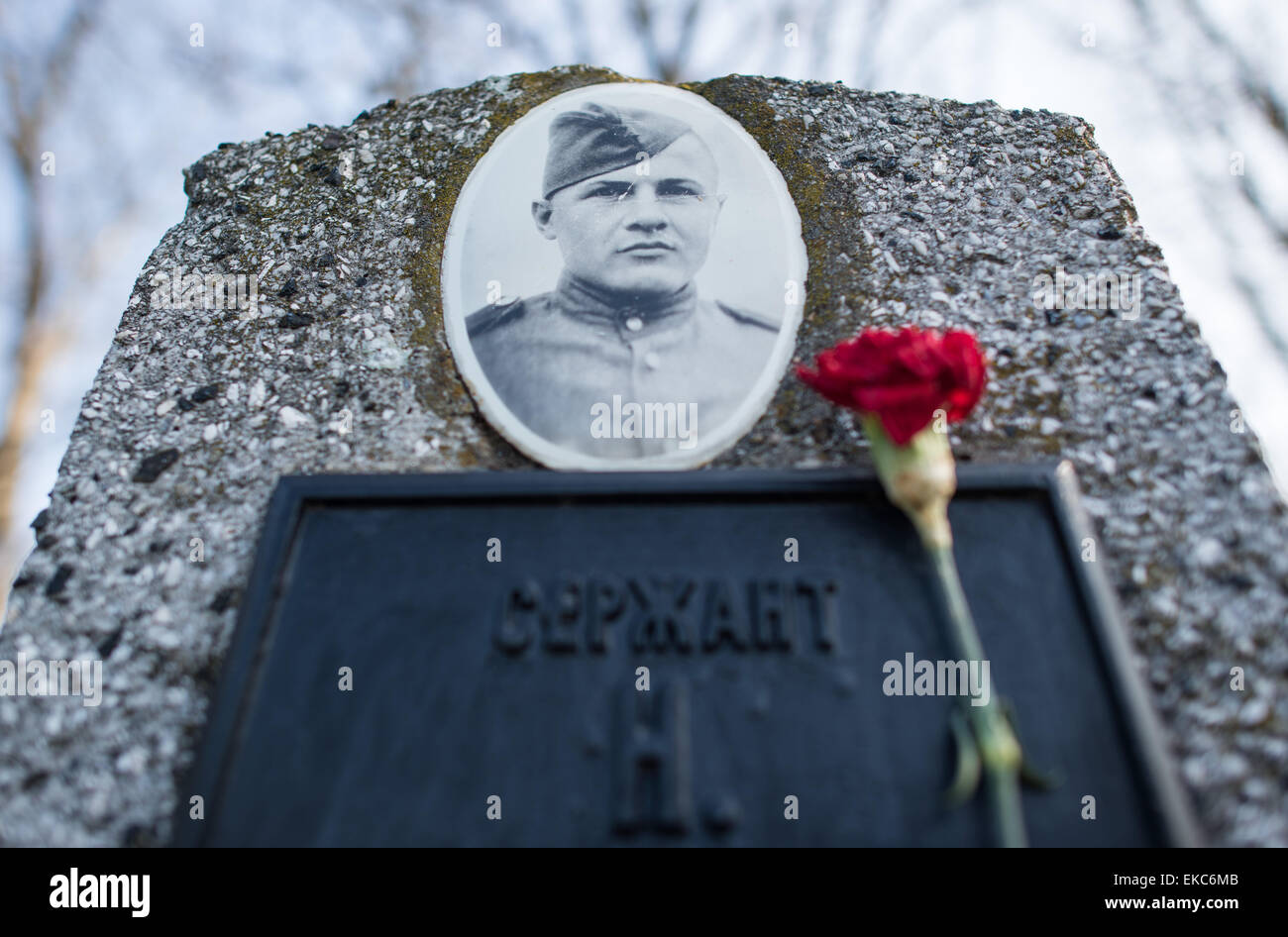 Seelow, Germany. 09th Apr, 2015. A tomb stone with a clove for a fallen soldier of the Red Army at the memorial Seelower Hoehen in Seelow, Germany, 09 April 2015. Shortly before the end of World War II ten thousands of soldiers and civilians died during the battle of the Seelower Hoehen, East of Berlin, which is now known as the largest battle of World War II on German ground. Photo: PATRICK PLEUL/dpa/Alamy Live News Stock Photo