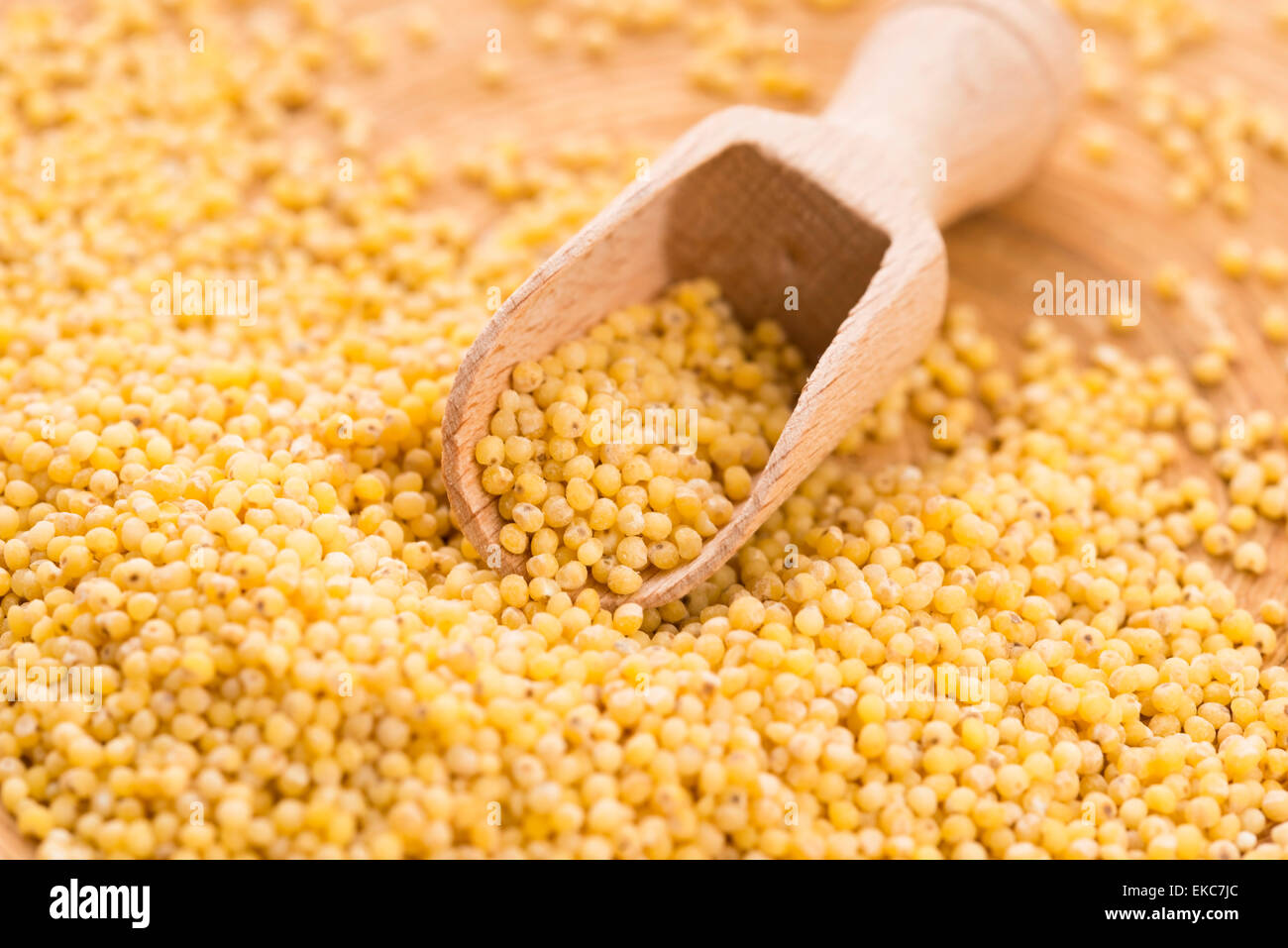 millet groats Stock Photo Alamy