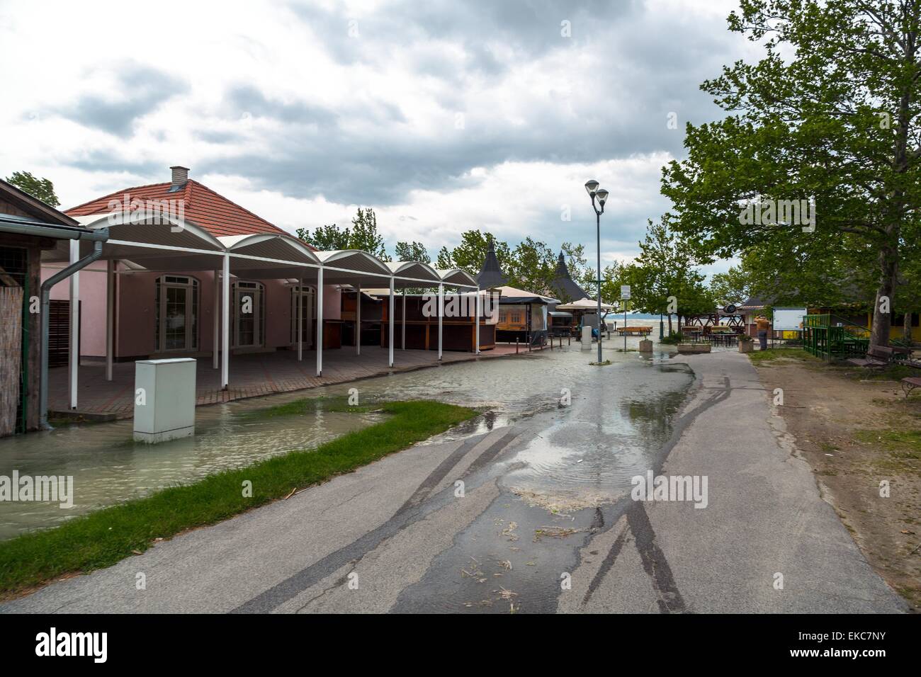 Flooded terrain in Balaton Stock Photo