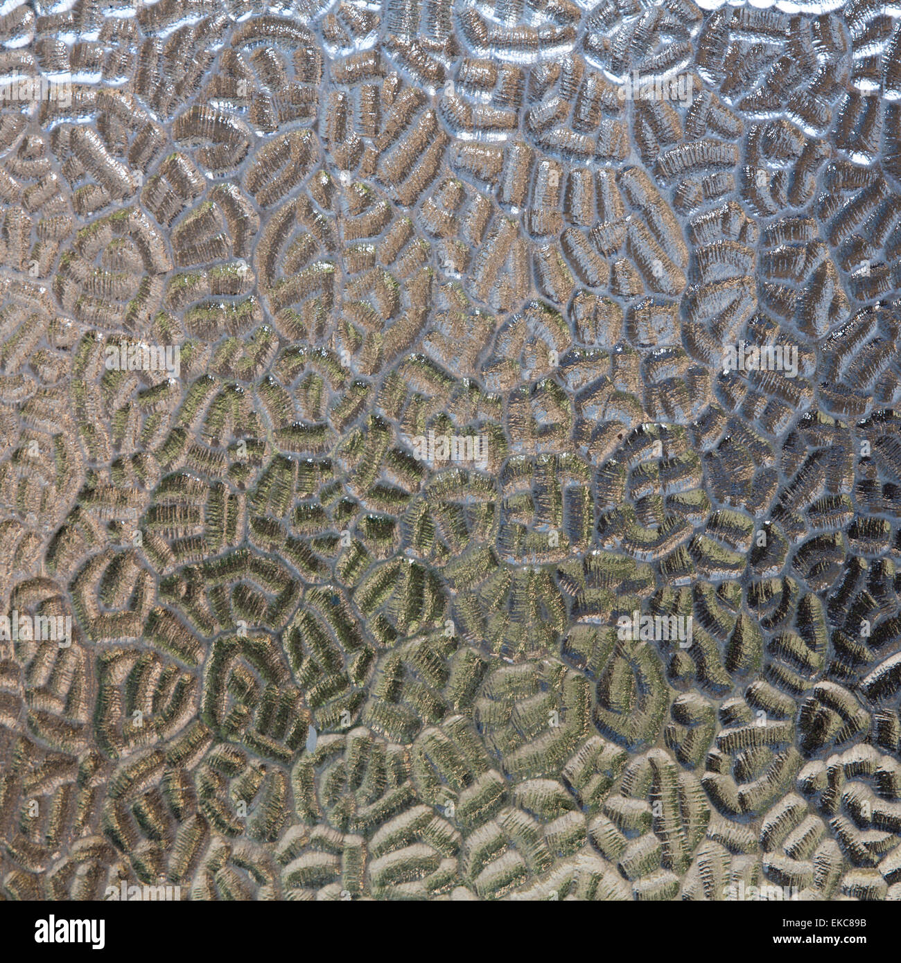 High resolution seamless texture Stock Photo - Alamy