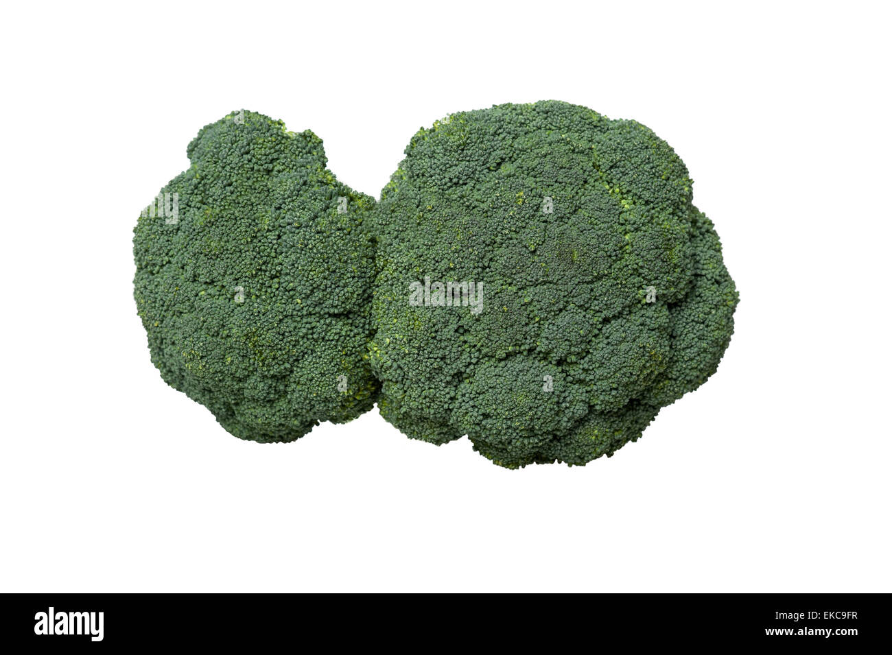 Broccoli vegetable isolated on white Stock Photo