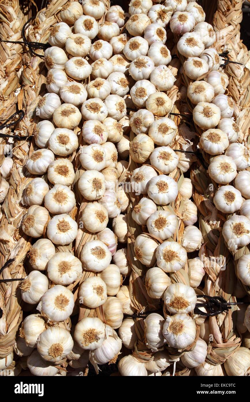 garlic rows food background pattern Stock Photo - Alamy