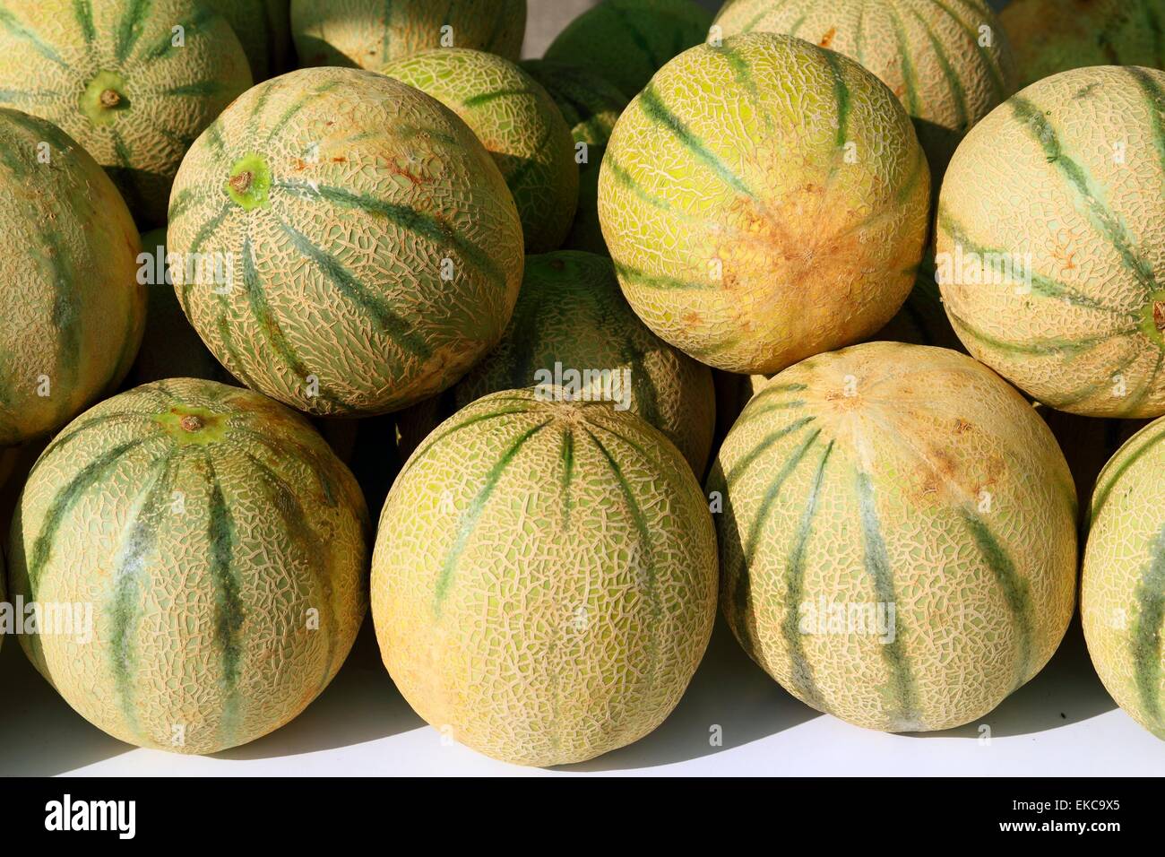 Cantaloupe rock melon muskmelon spanspek Stock Photo Alamy