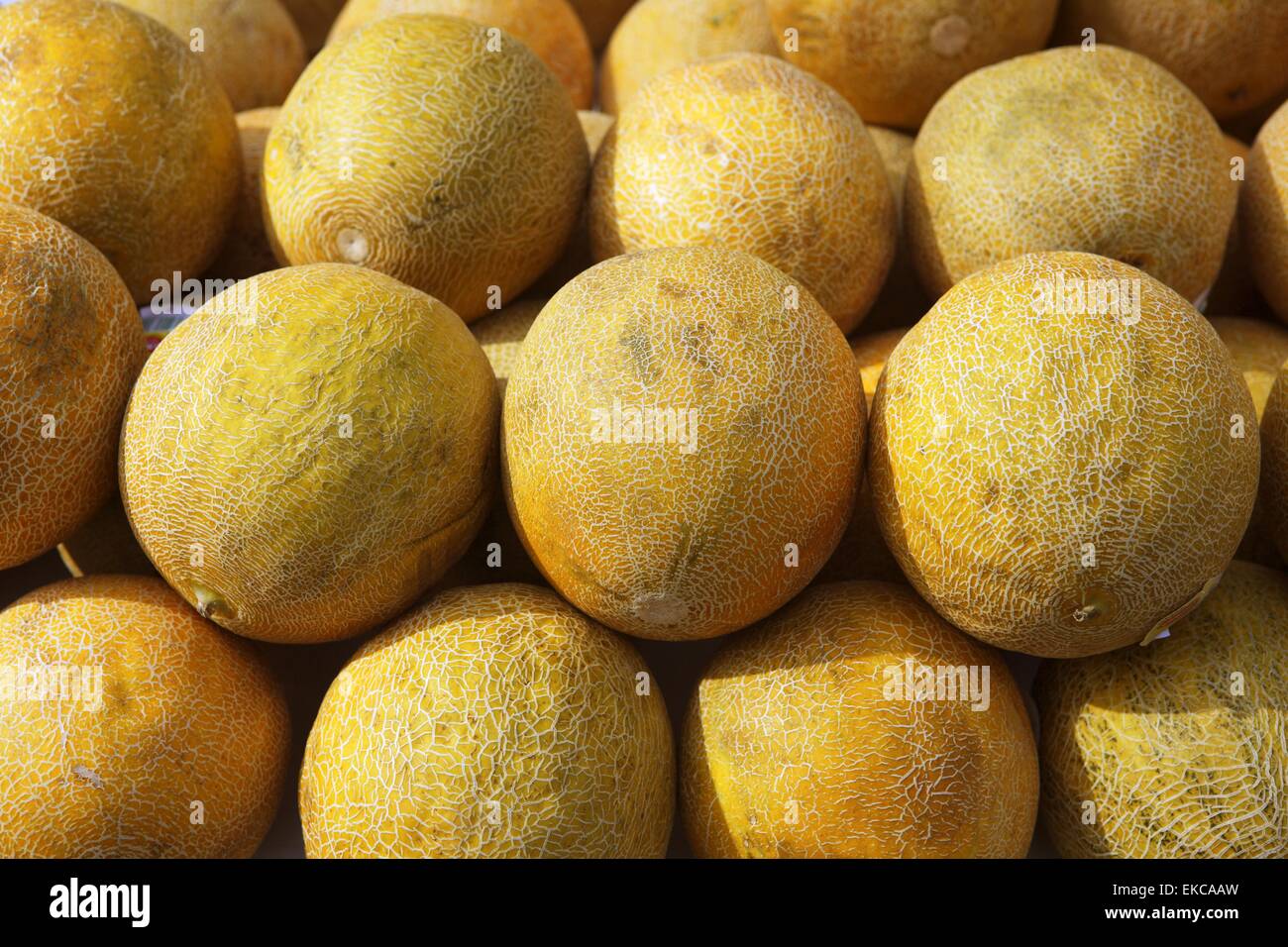yellow melon fruits market stacked rows Stock Photo Alamy