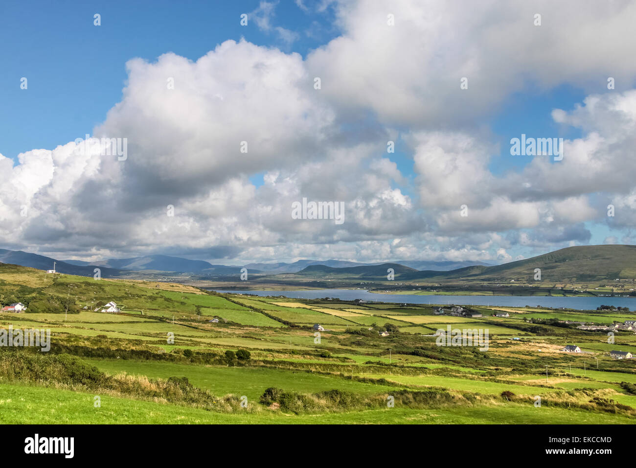 Scenic pasture landscape on Valentia Island, County Kerry, Ireland Stock Photo