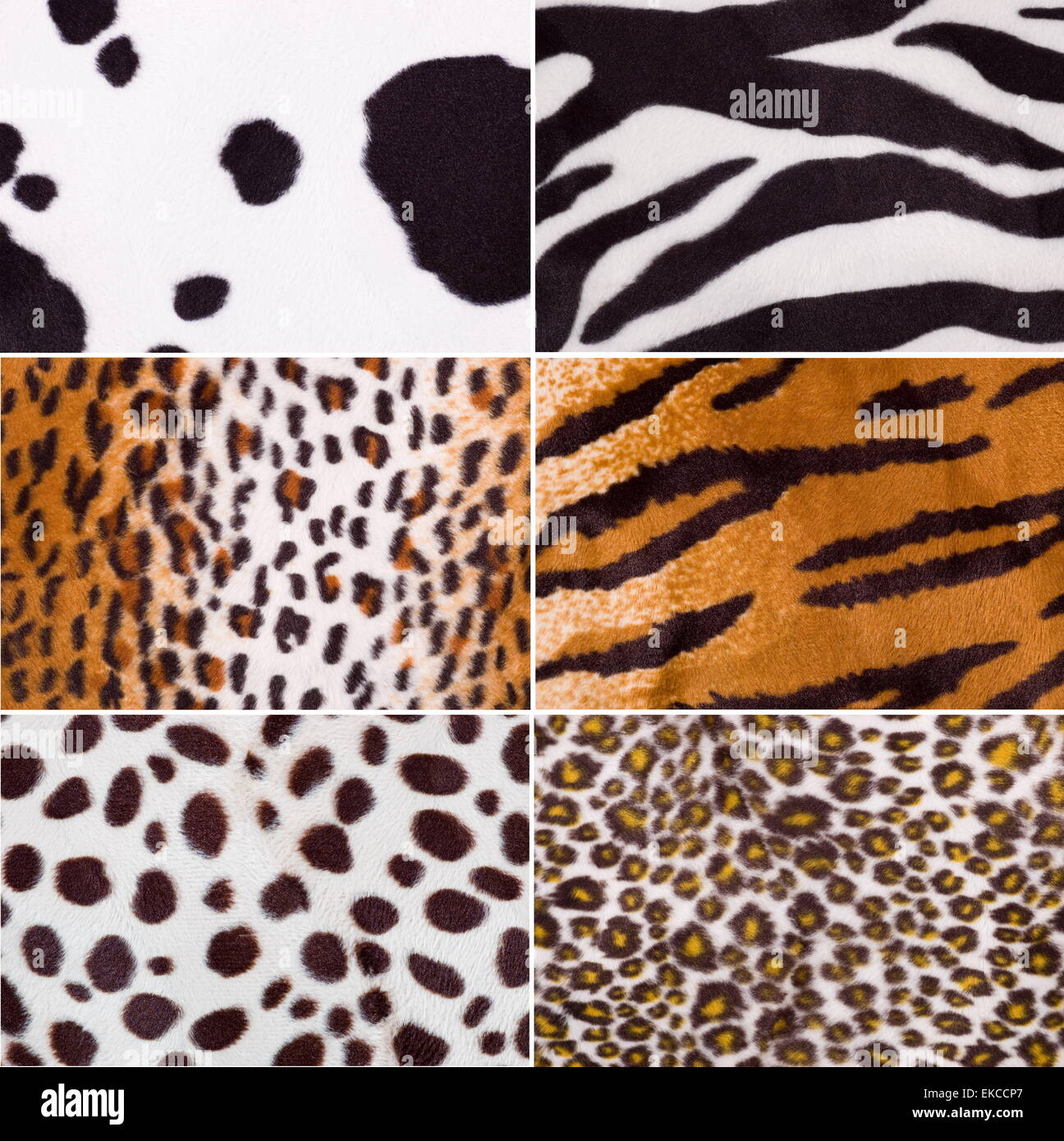 Animal textures hi-res stock photography and images - Alamy