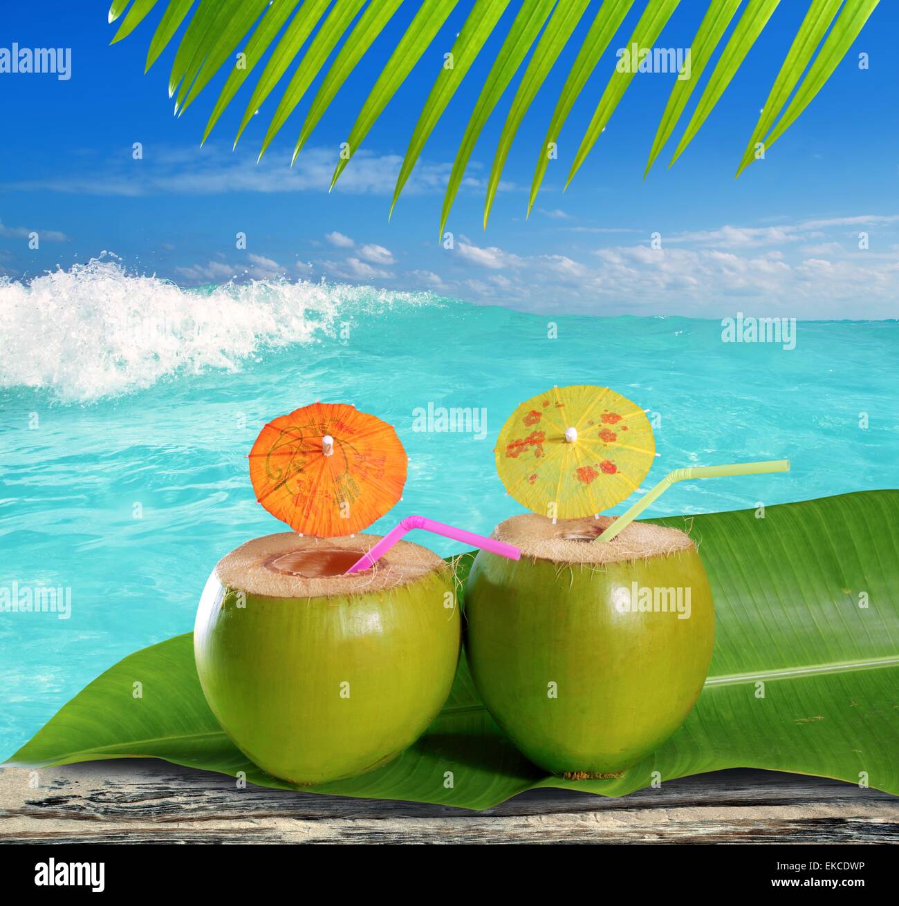 fresh tender green coconuts straw beach cocktails Stock Photo