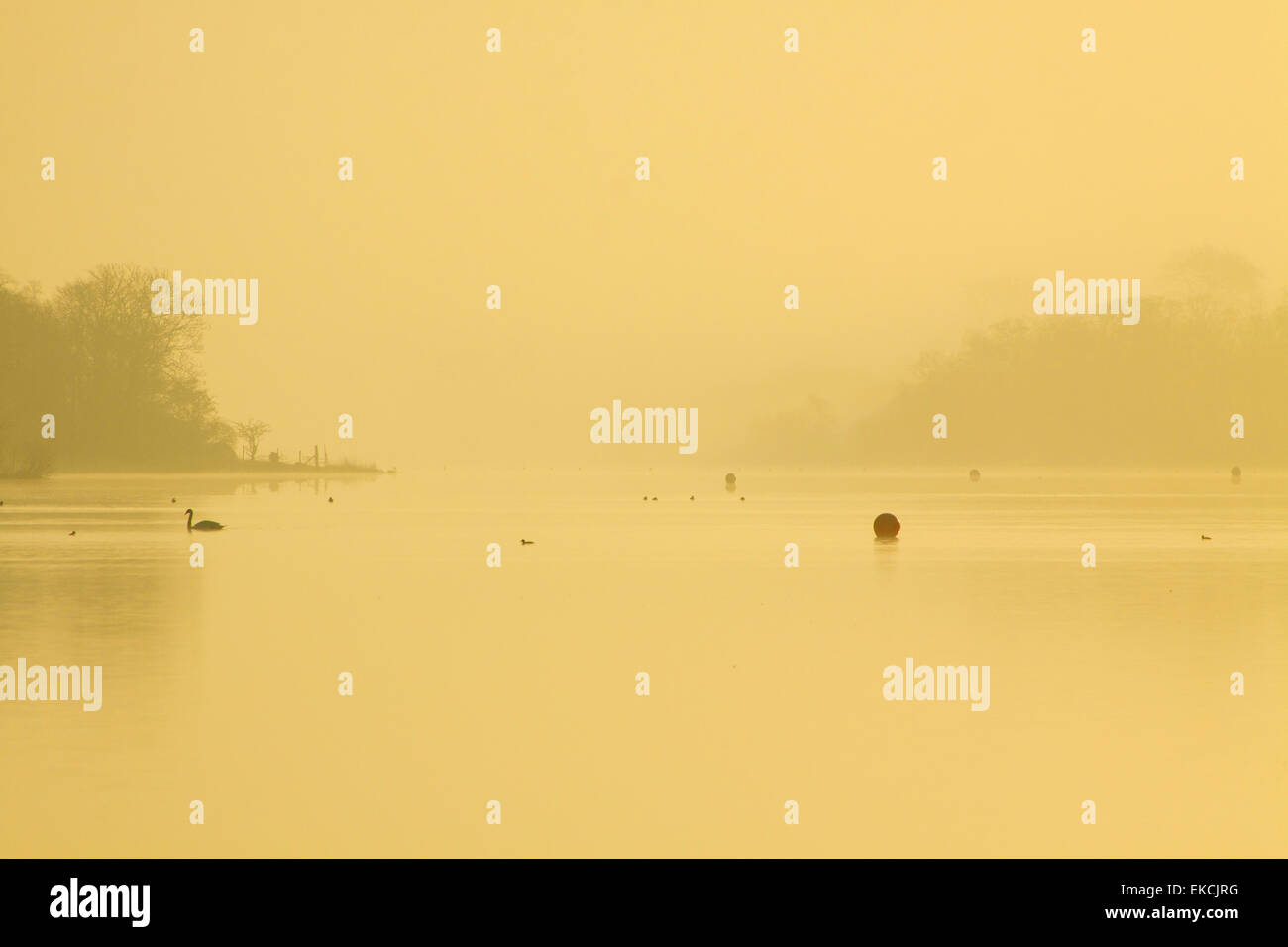 Castle Semple Loch, Clyde Murshiel Country Park, Lochwinnoch, Renfrewshire Stock Photo