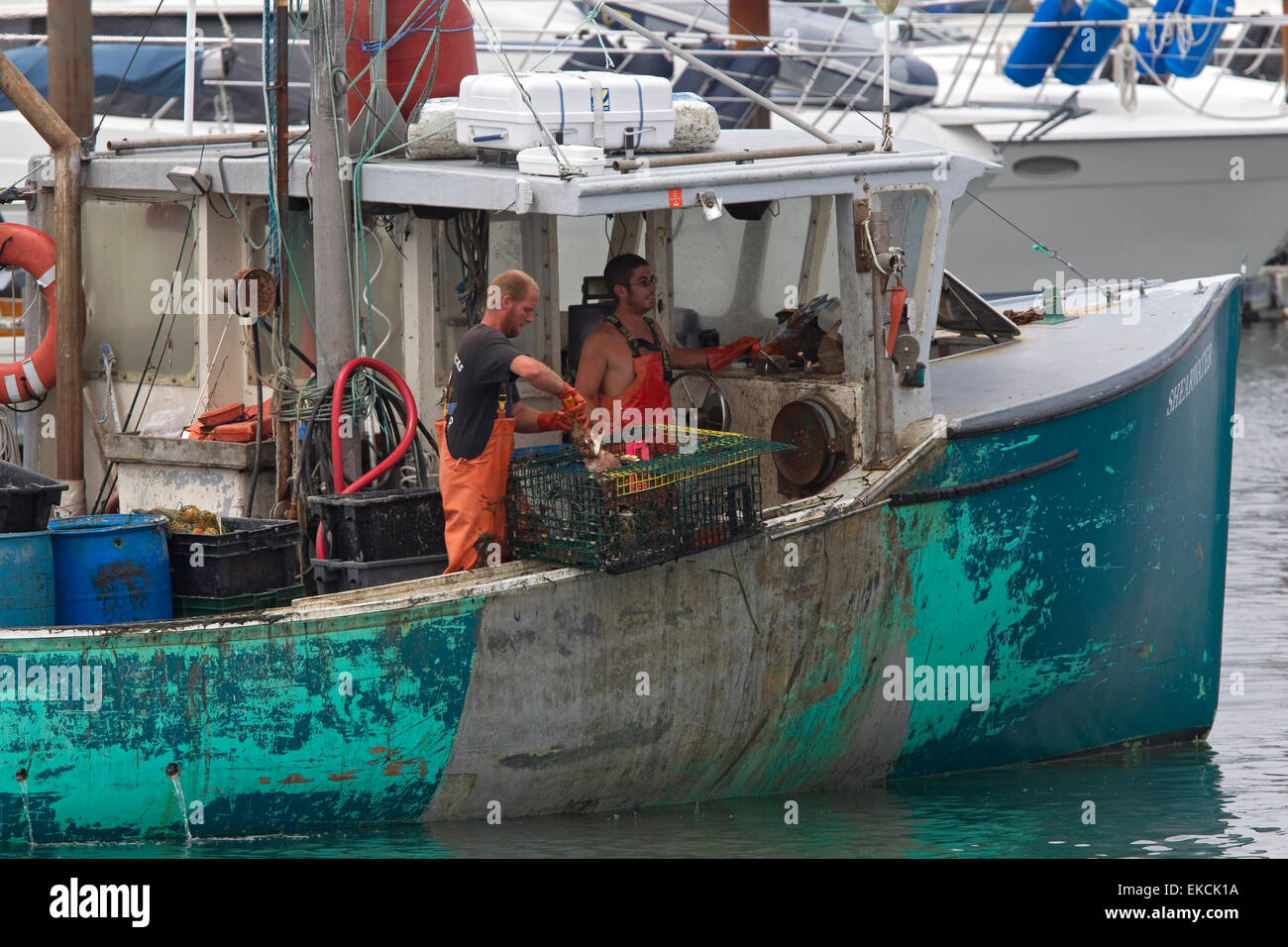 Maine lobster fishermen on lobster fishing boat Stock Photo