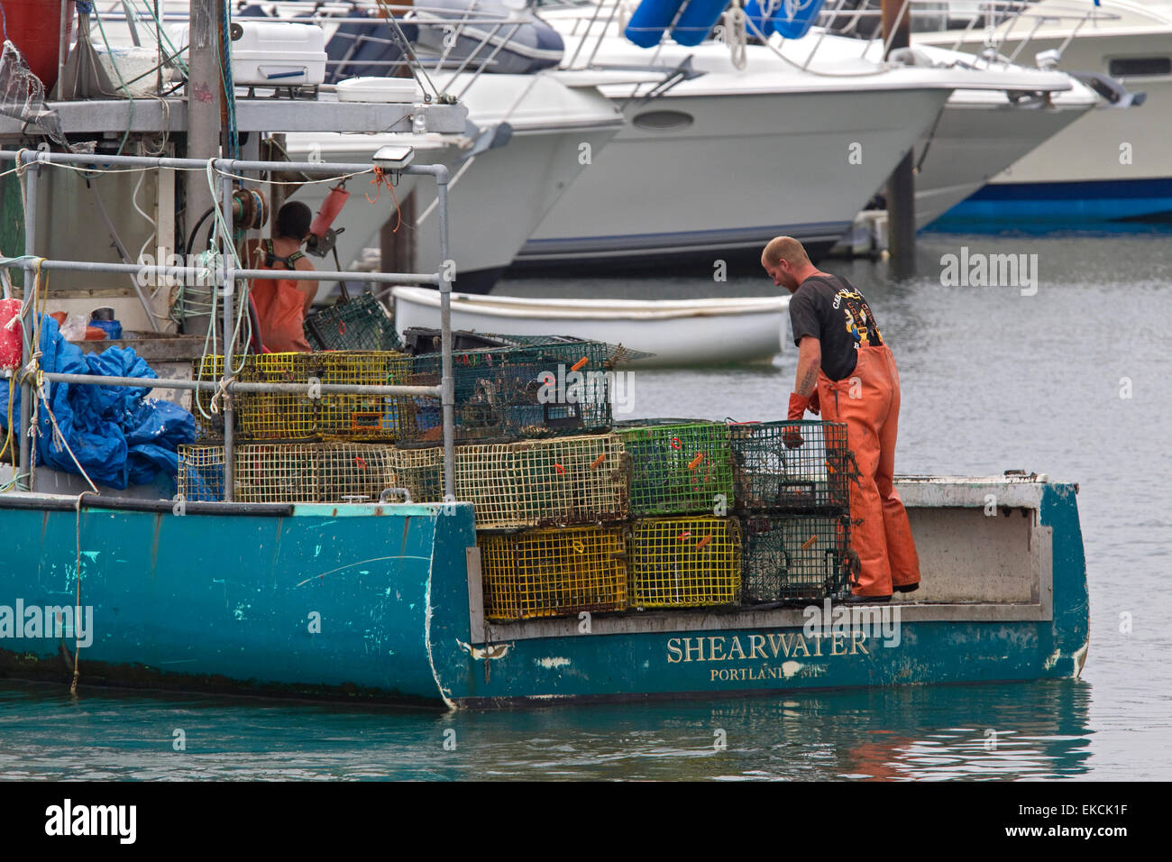 Maine lobster fishermen on lobster boat, lobstering Stock Photo