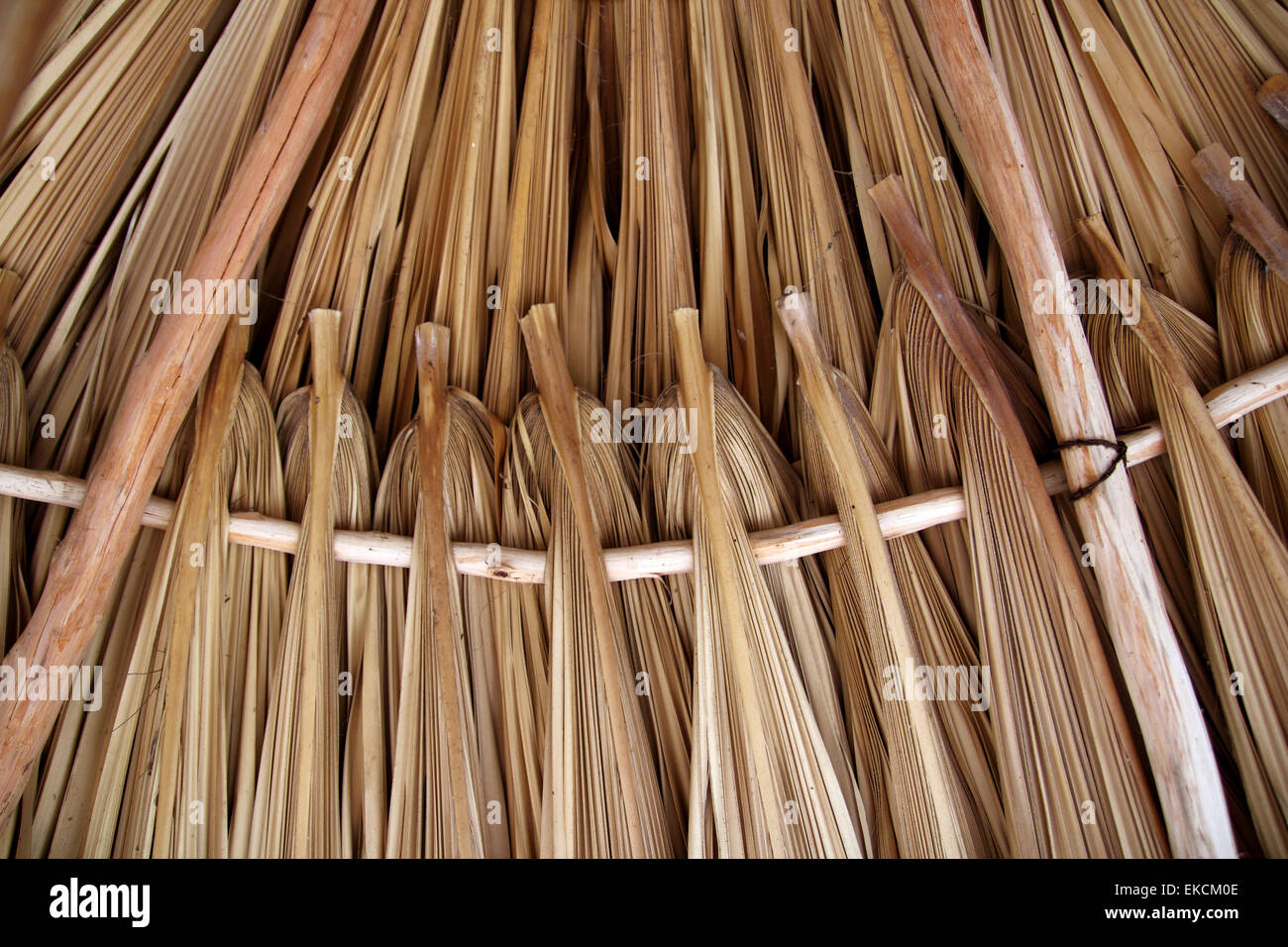 Palm tree leaves in sunroof palapa hut roofing Stock Photo Alamy