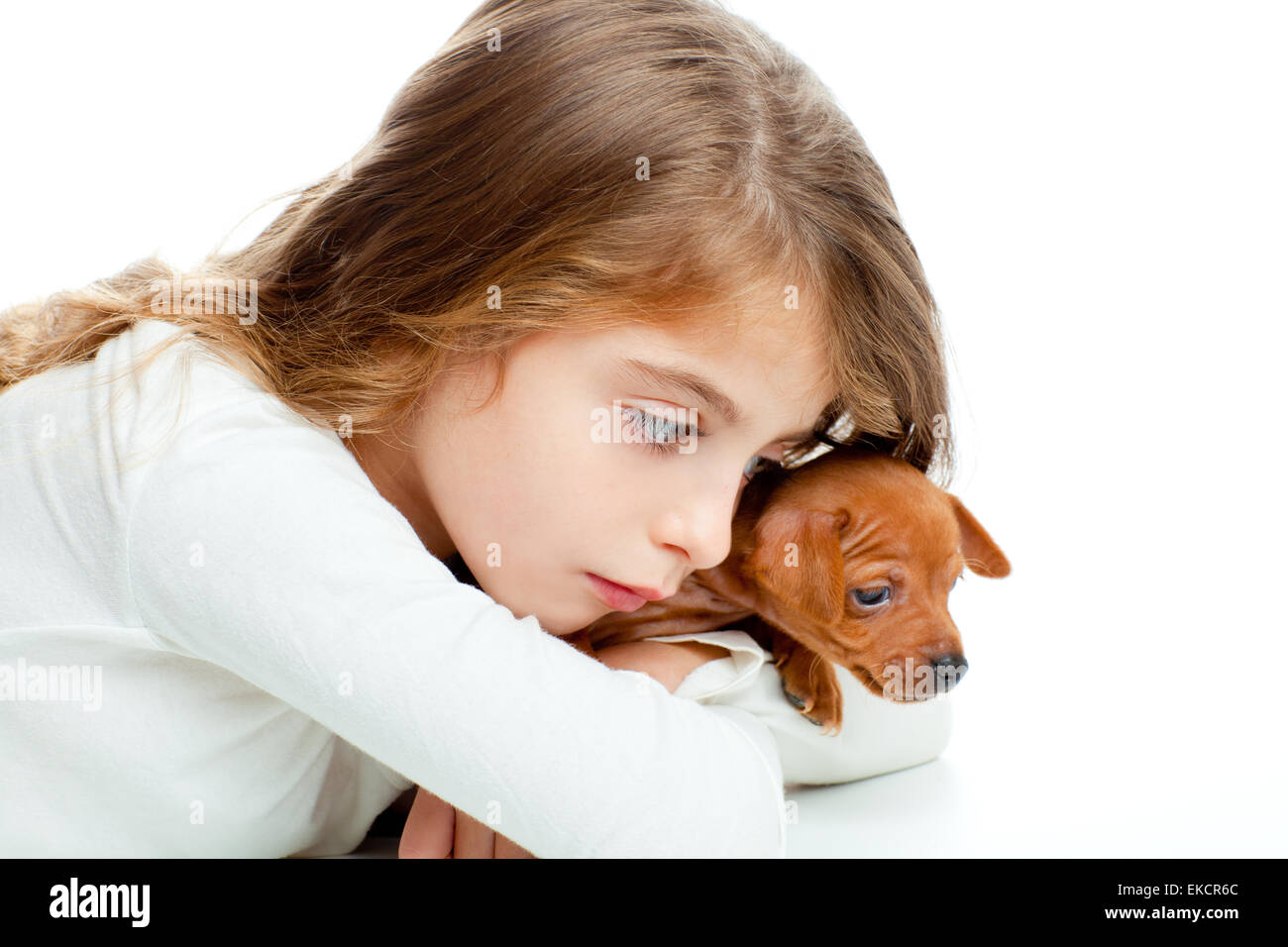 brunette kid girl with mini pinscher pet mascot dog Stock Photo - Alamy