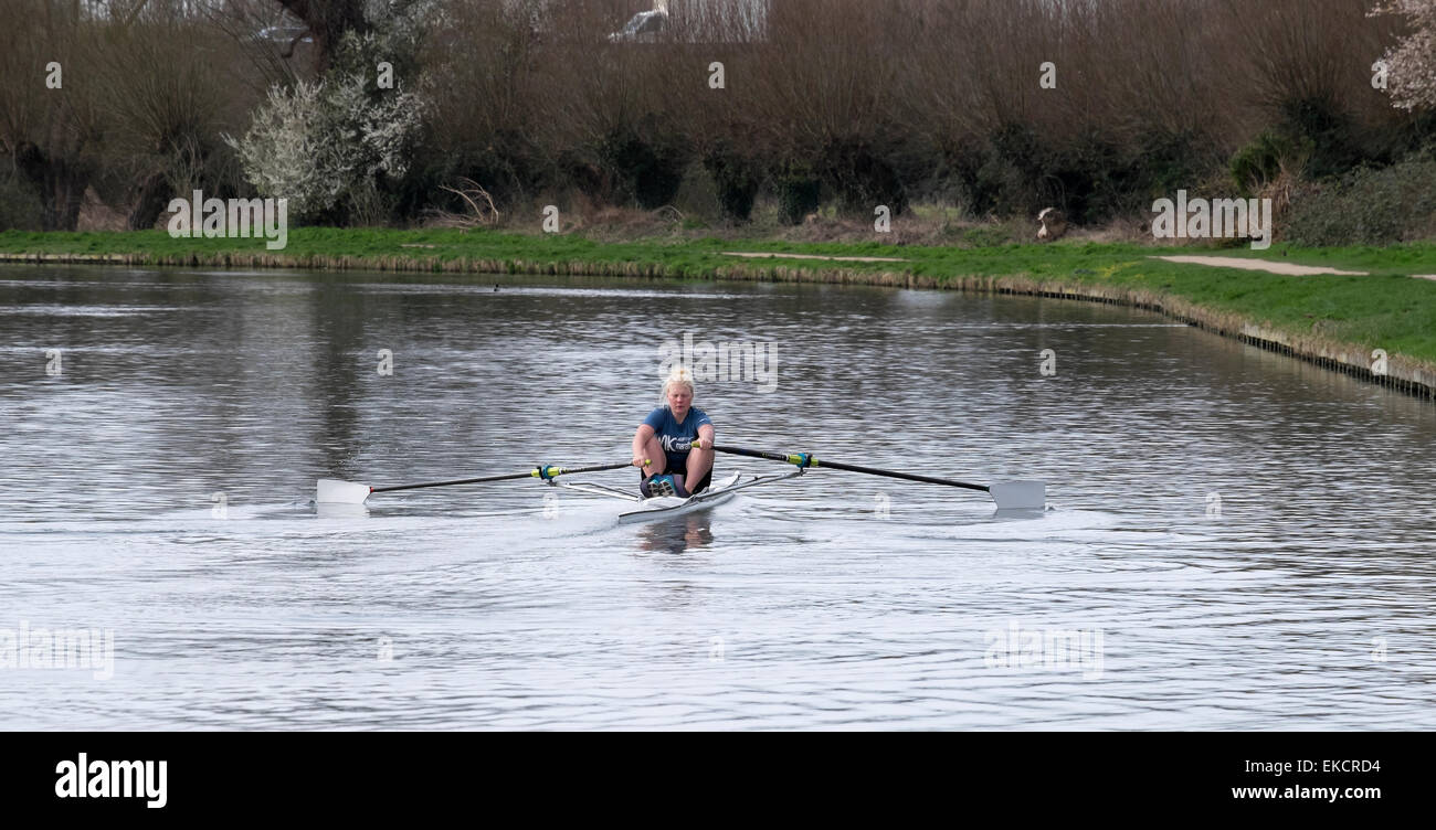 Young woman concentrating on rowing skiff on river Cam Baits Bite Lock Stock Photo