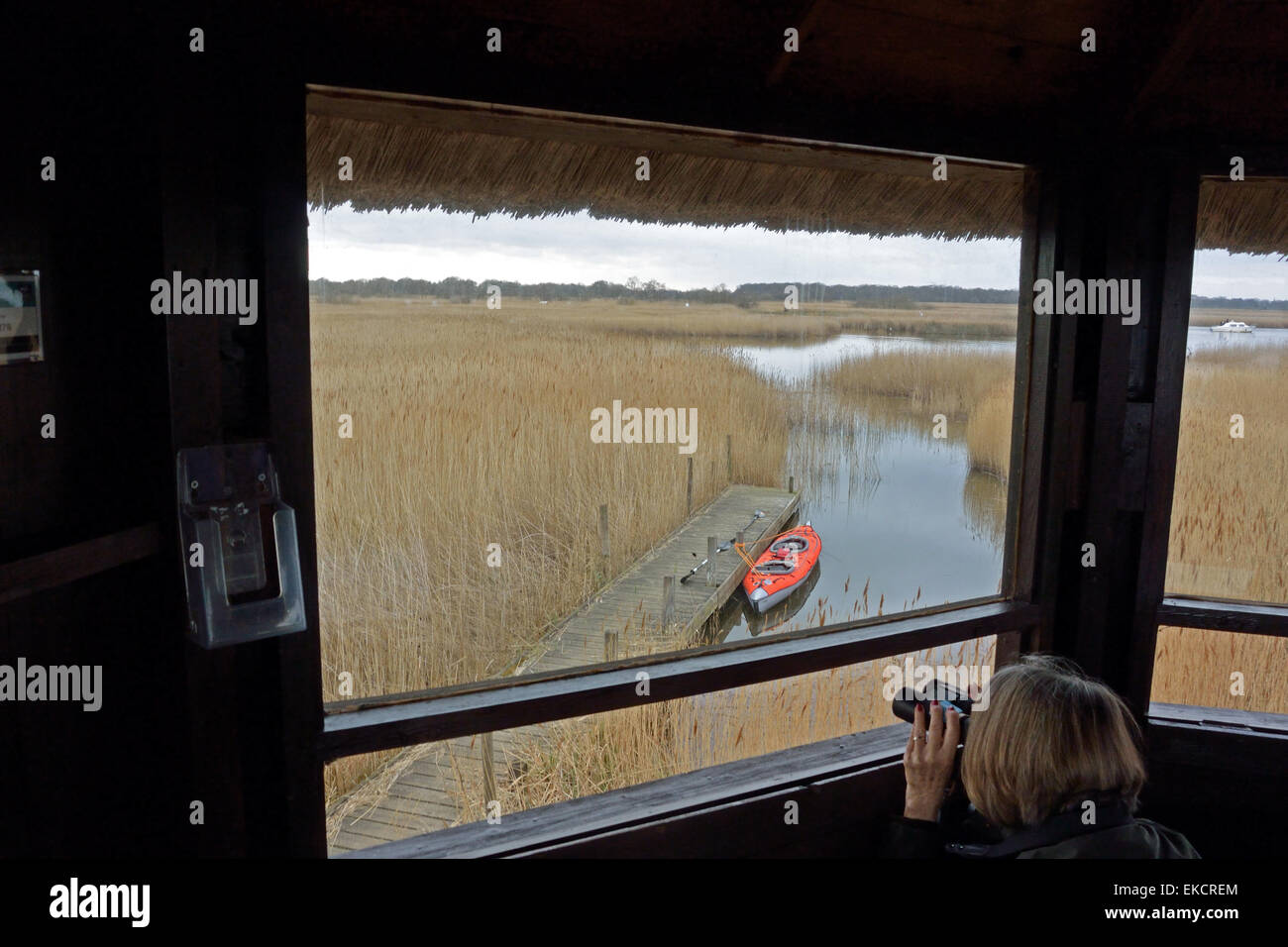 Woman with binoculars in bird observation tower at Hickling Broad