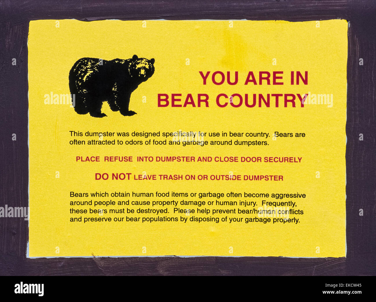 Funny Bear Warning Sign