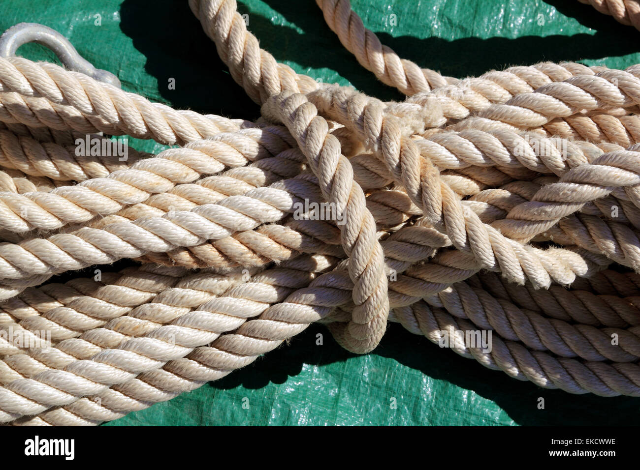 marine clear white used rope over green Stock Photo - Alamy