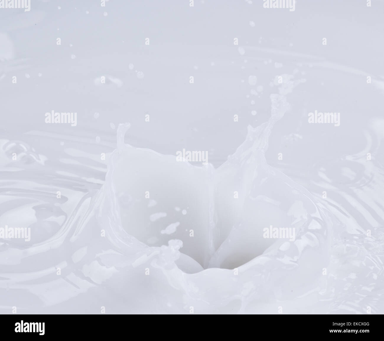 Pouring milk splash on white background Stock Photo - Alamy