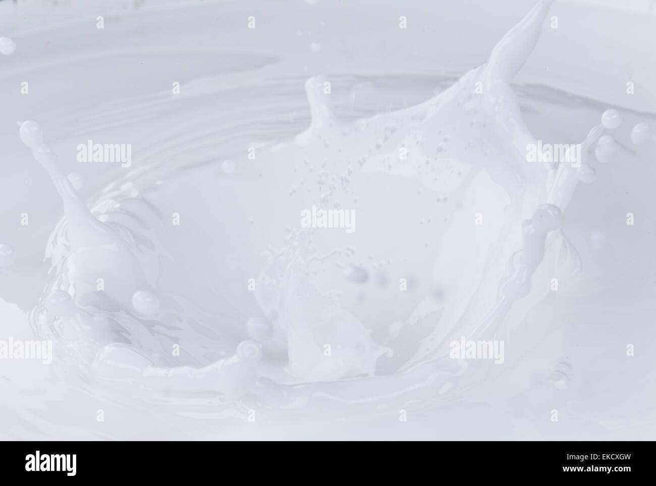 Pouring milk splash on white background Stock Photo - Alamy