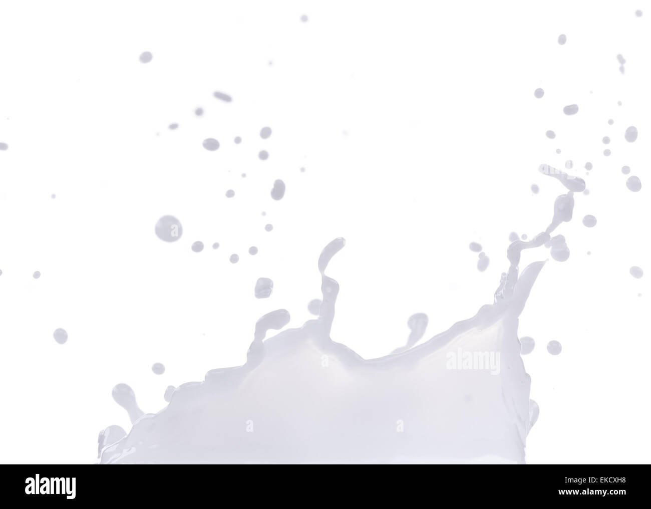Pouring milk splash on white background Stock Photo - Alamy