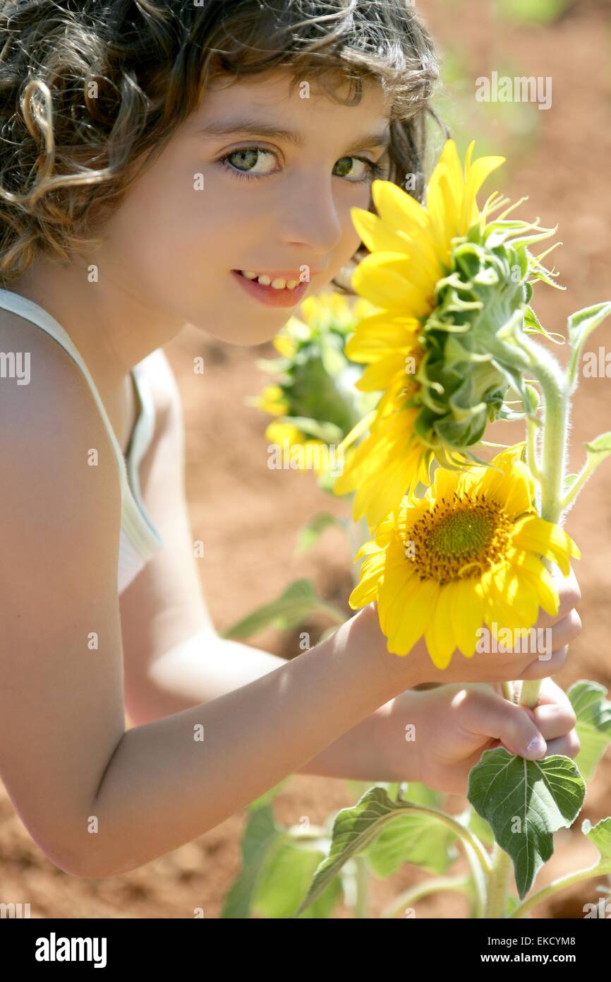 Beautiful little girl in a summer sunflower field Stock Photo - Alamy