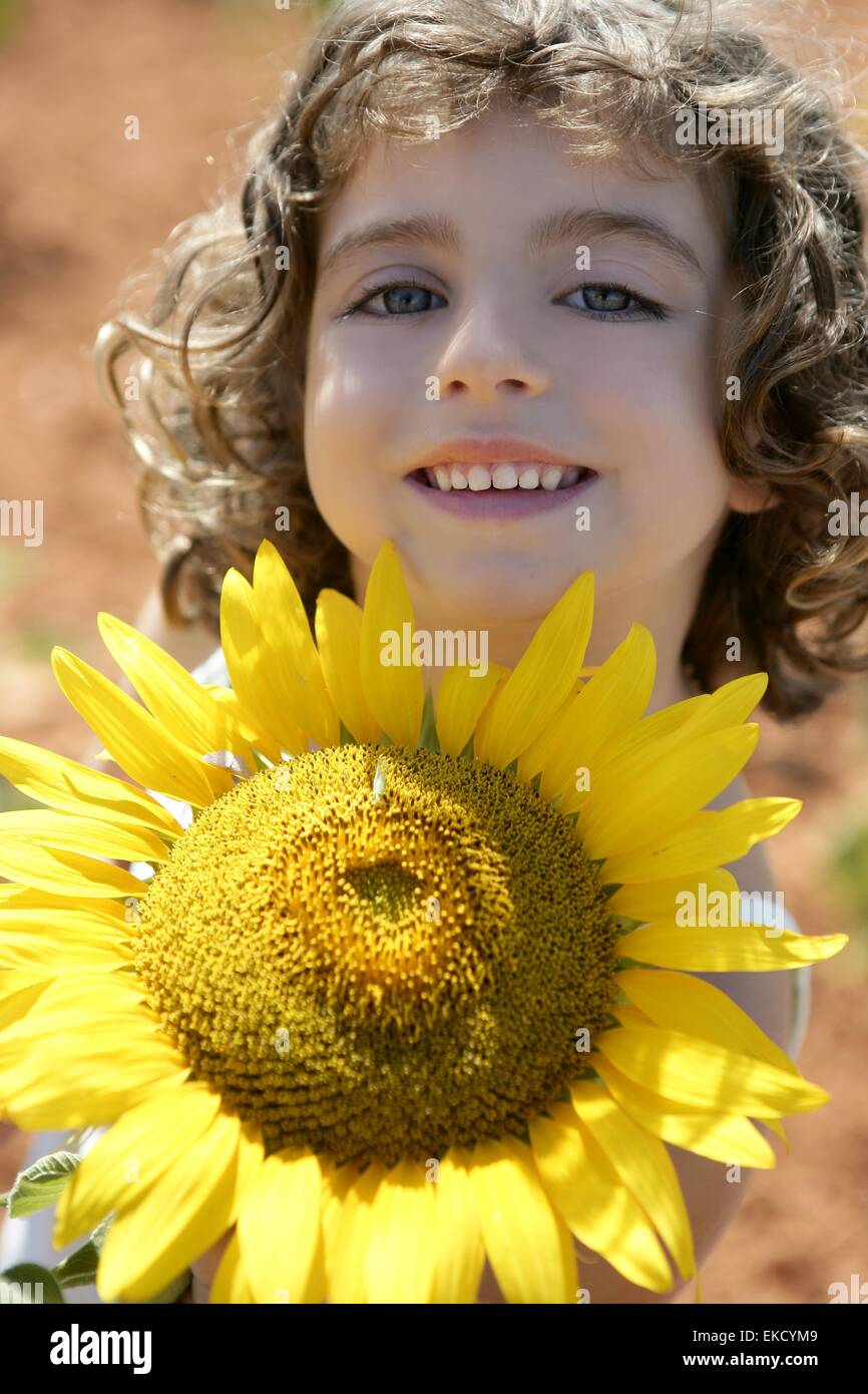 Beautiful little girl in a summer sunflower field Stock Photo - Alamy