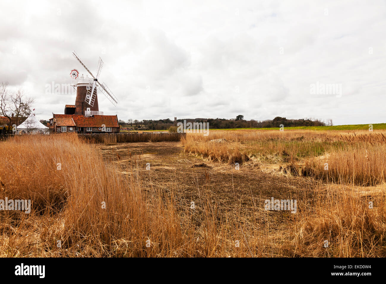 Cley next the sea windmill reed marshes marsh marshland land Norfolk UK