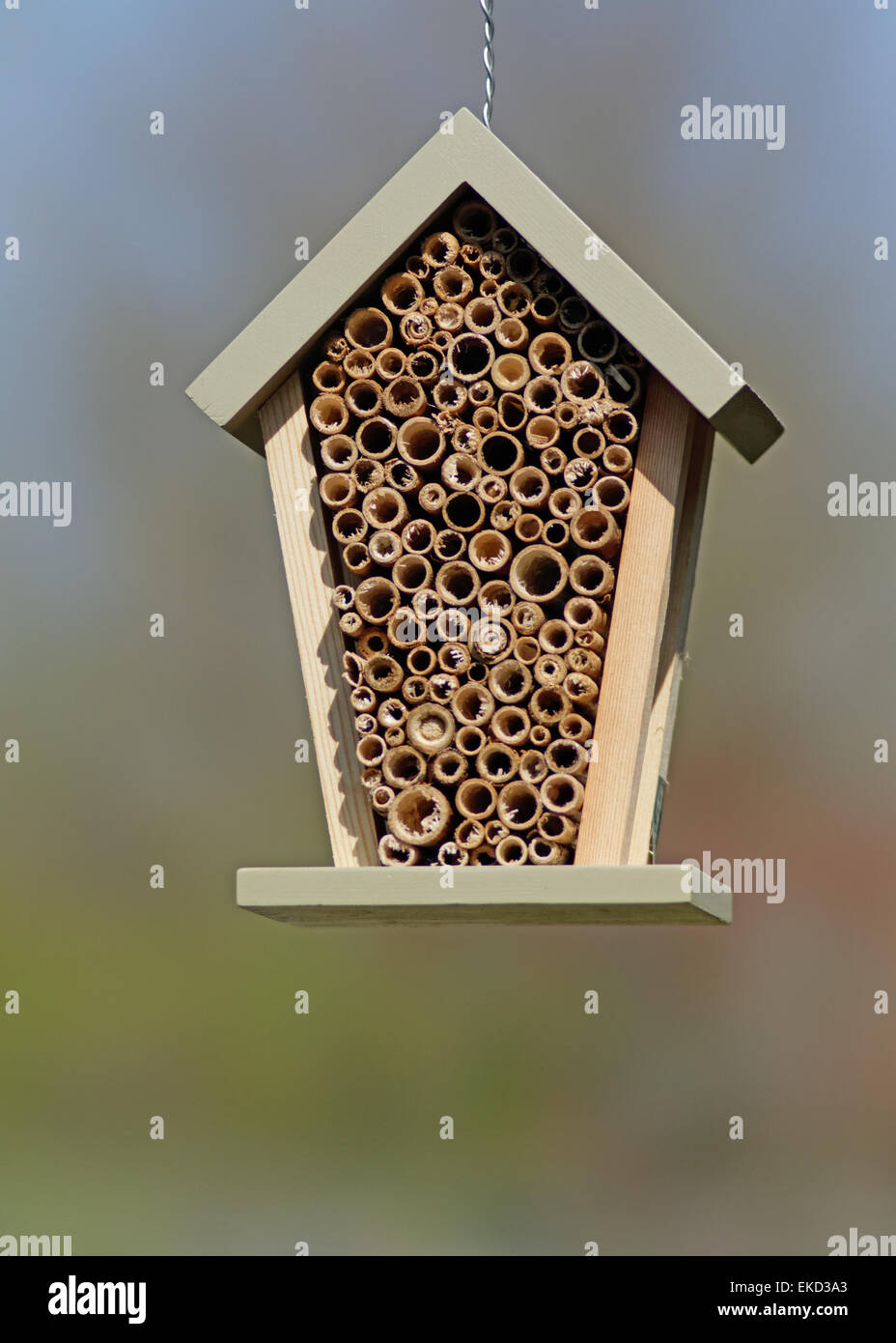 Beneficial Insect House. Stock Photo