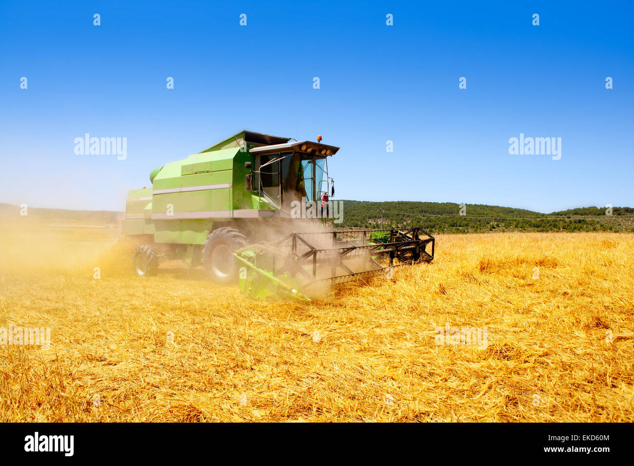 Combine harvester harvesting wheat cereal Stock Photo - Alamy